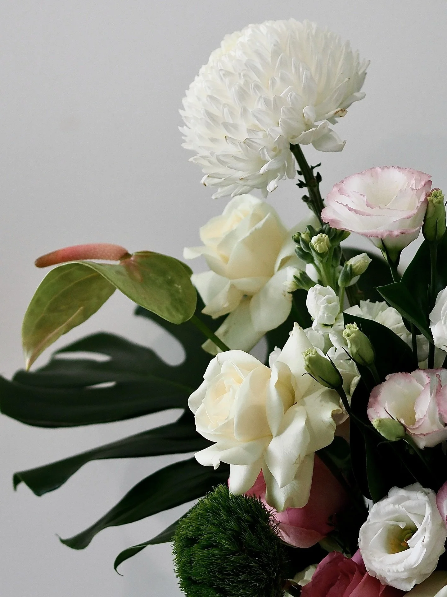 Soft whites, fresh greens, and a flirty pop of pink 💕

Contact for inquiries via: 
Email: hello@HTstudioau.com 
Phone: 0451602272
Website: www.htstudioau.com
Instagram: htstudioau
Facebook: htstudioau24 

💚 HTS