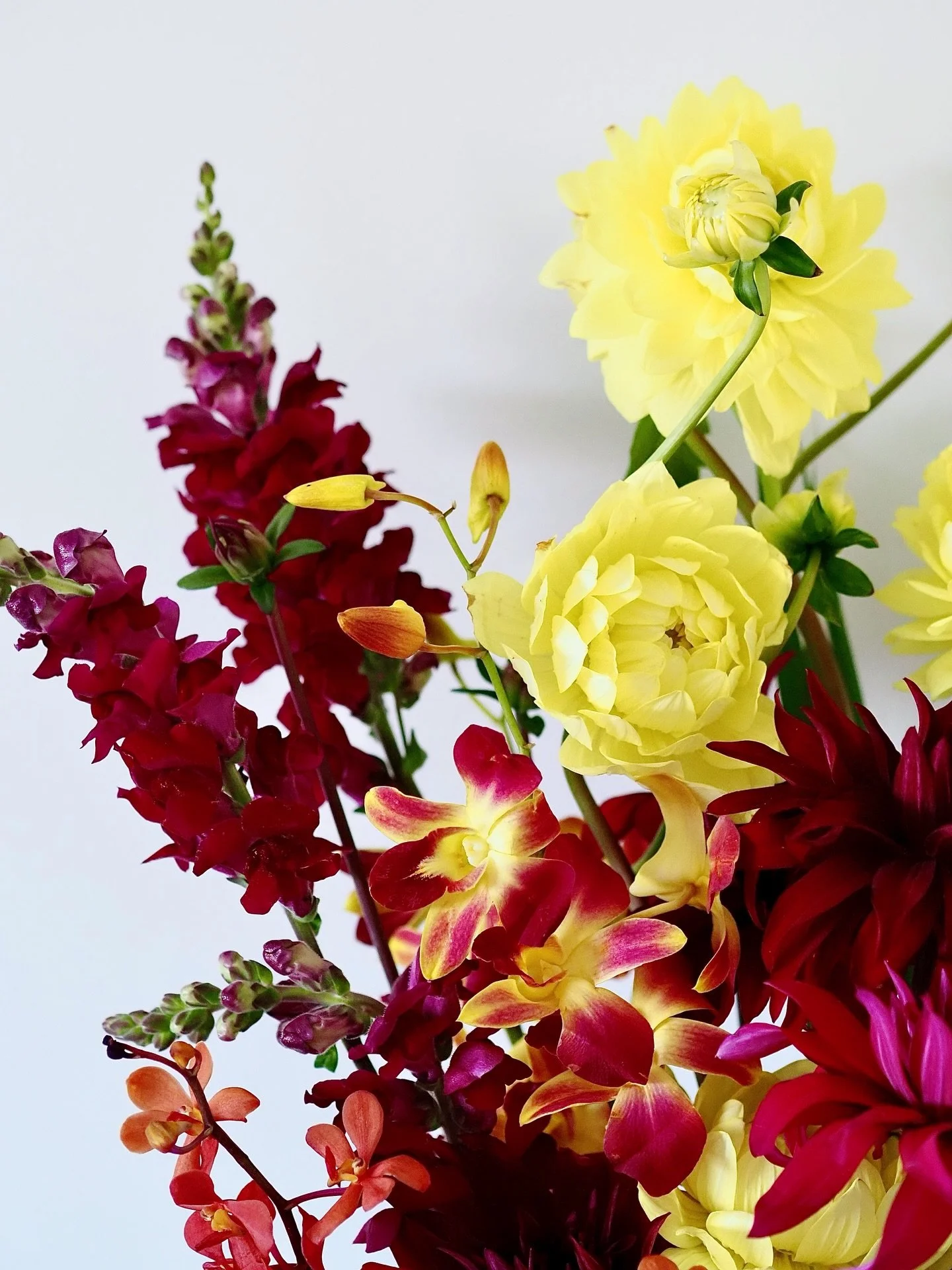 Orchids whisper elegance, love and beauty.
Red dahlias for love and strength, yellow for joy.
Snapdragons stand in grace and quiet strength.
A floral story of enduring love, promise and poise. 💕✨

Contact for inquiries via: 
Email: hello@HTstudioau.