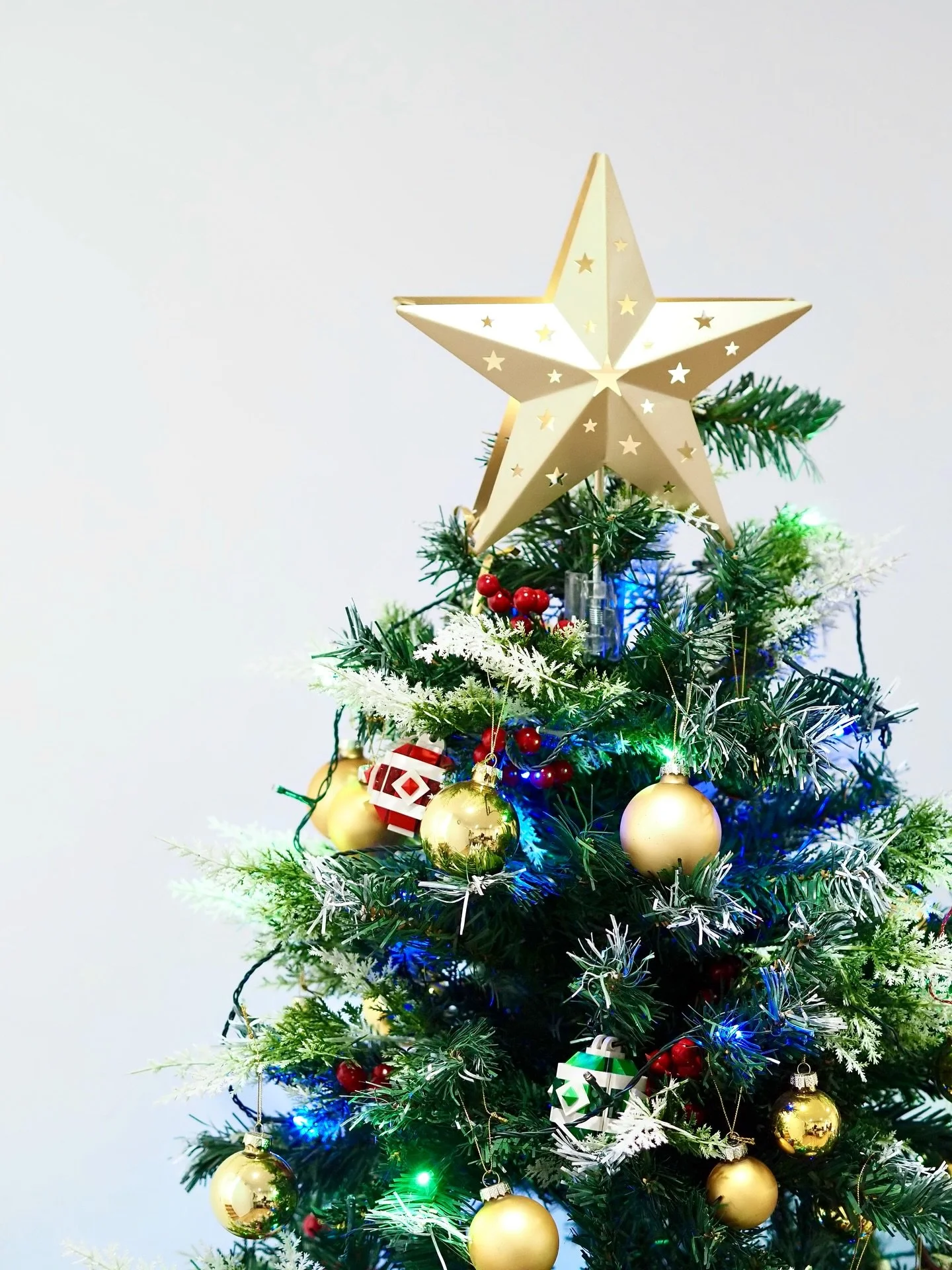 Merry Christmas from the team at HT STUDIO 🎄✨
Wishing everyone a lovely day filled with love, joy, and flowers 🌺

Contact for inquiries via: 
Email: hello@HTstudioau.com 
Phone: 0451602272
Website: www.htstudioau.com
Instagram: htstudioau
Facebook: