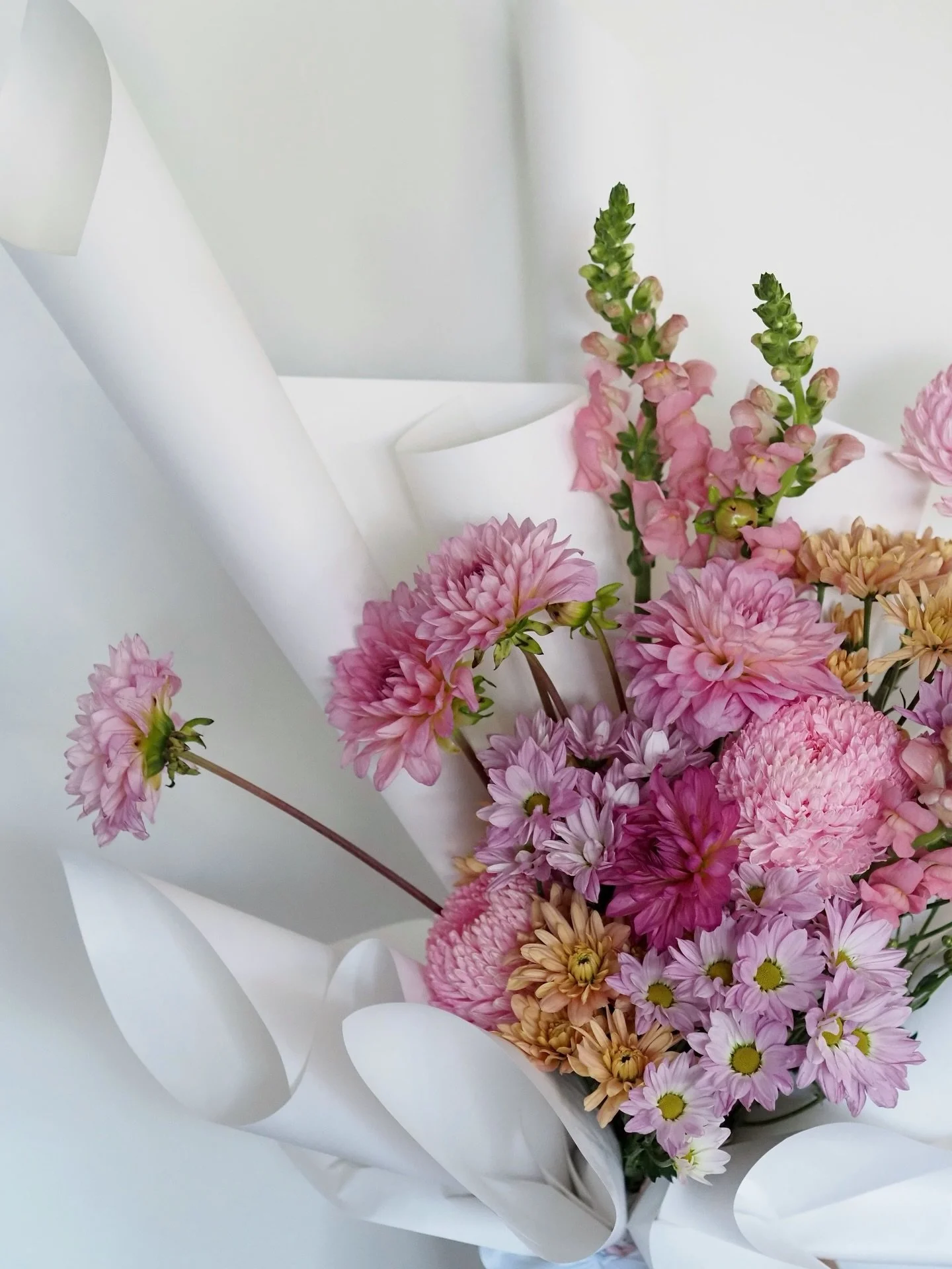 Pretty in pink, powered by love 💕🌸
Daisies, dahlias, chrysanthemums &amp; snapdragons, because Valentine&rsquo;s Day should feel soft, joyful, and a little bit magical.
Made with love, always. 💘✨

Contact for inquiries via: 
Email: hello@HTstudioa