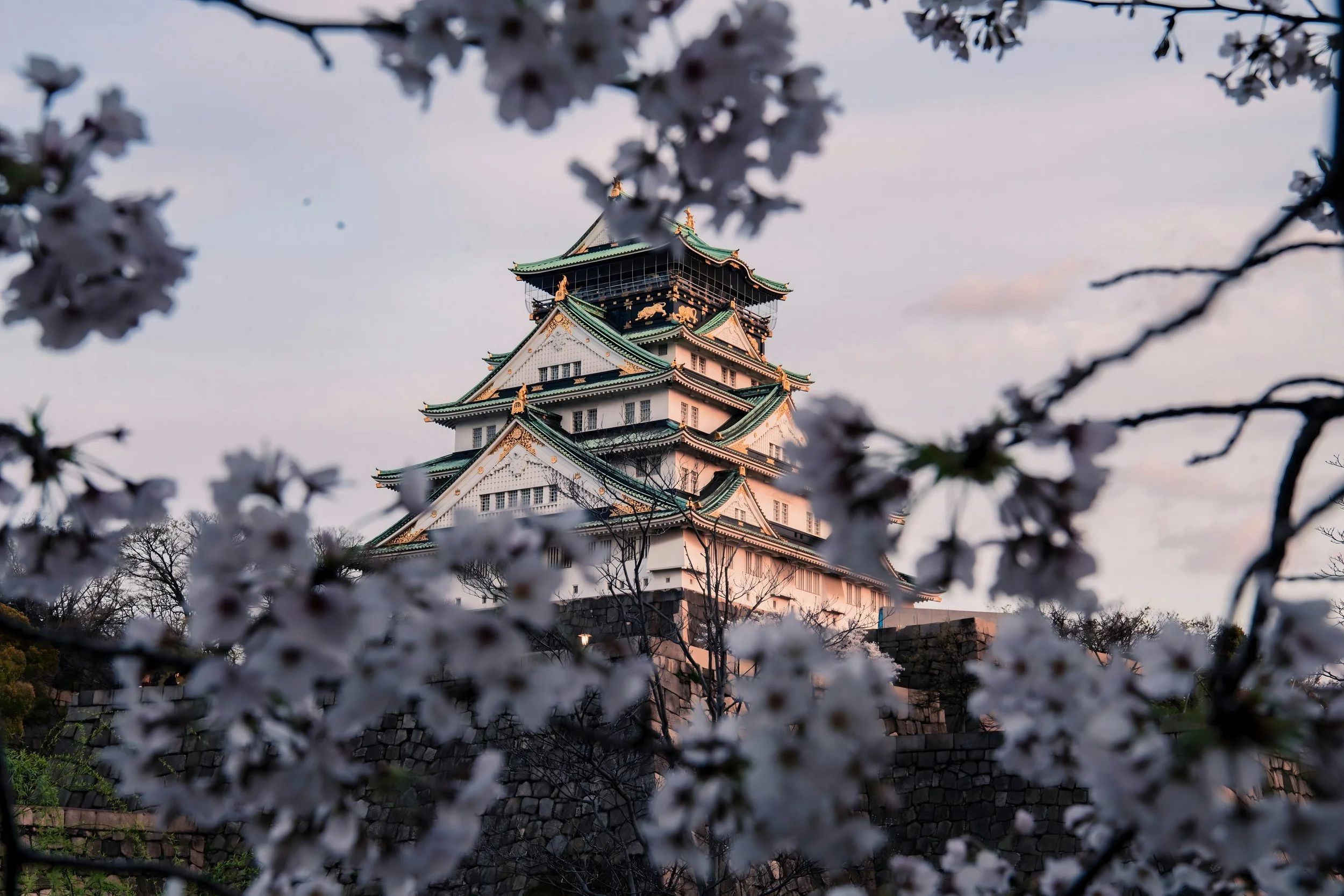 Osaka Castle.jpeg