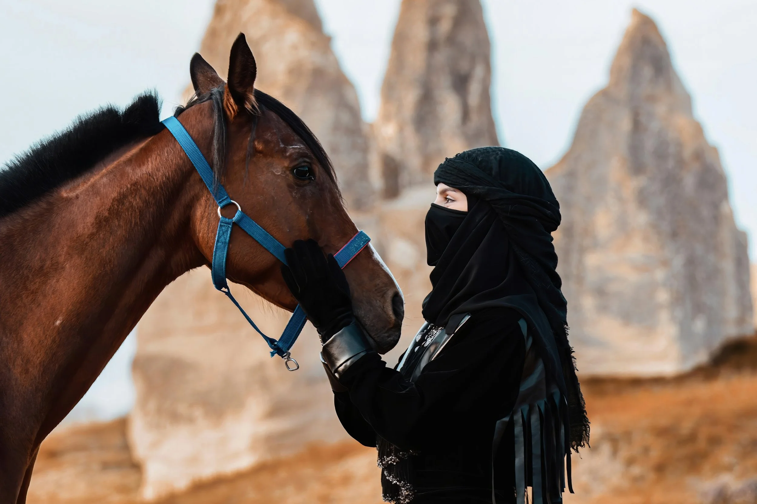 Bedouin horse.jpeg