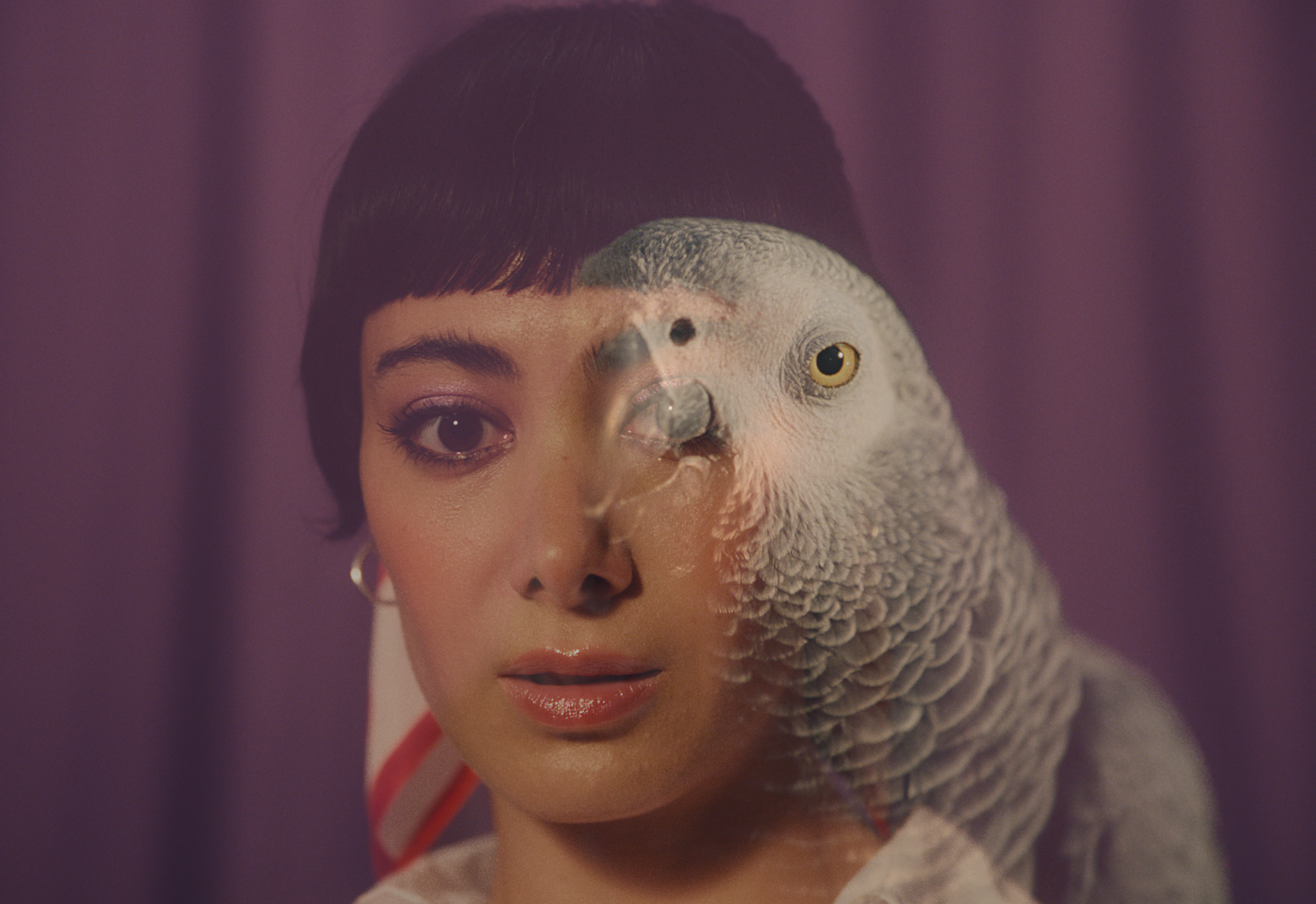 AMNESTY_INTERNATIONAL_THAT_PARROT_GRADED_ONLINE_STILL_001_2024_05_15 2.PNG