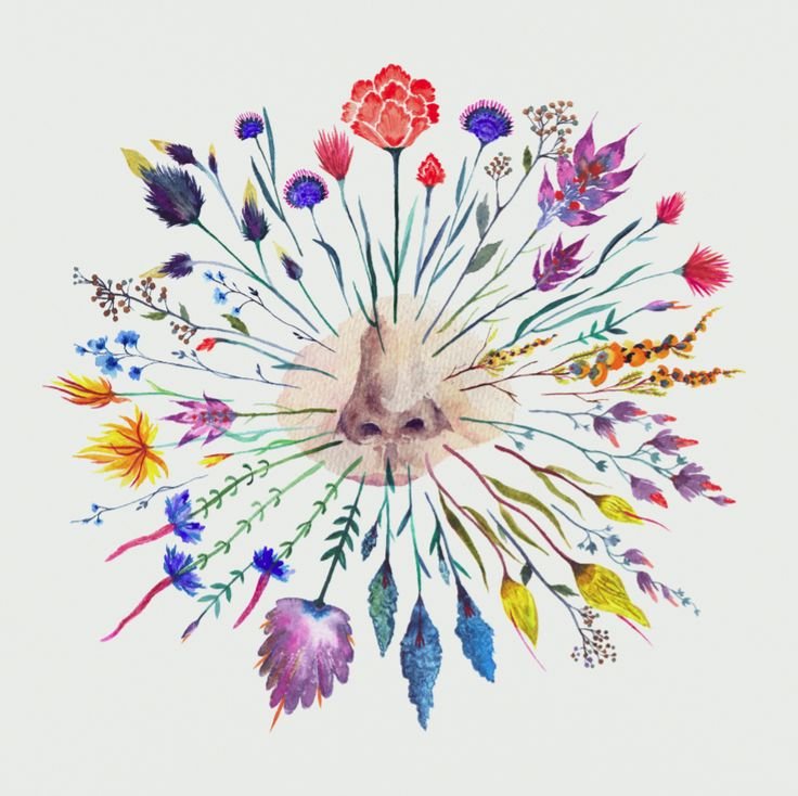 Why Do Some Scents Make Us Feel Safe?