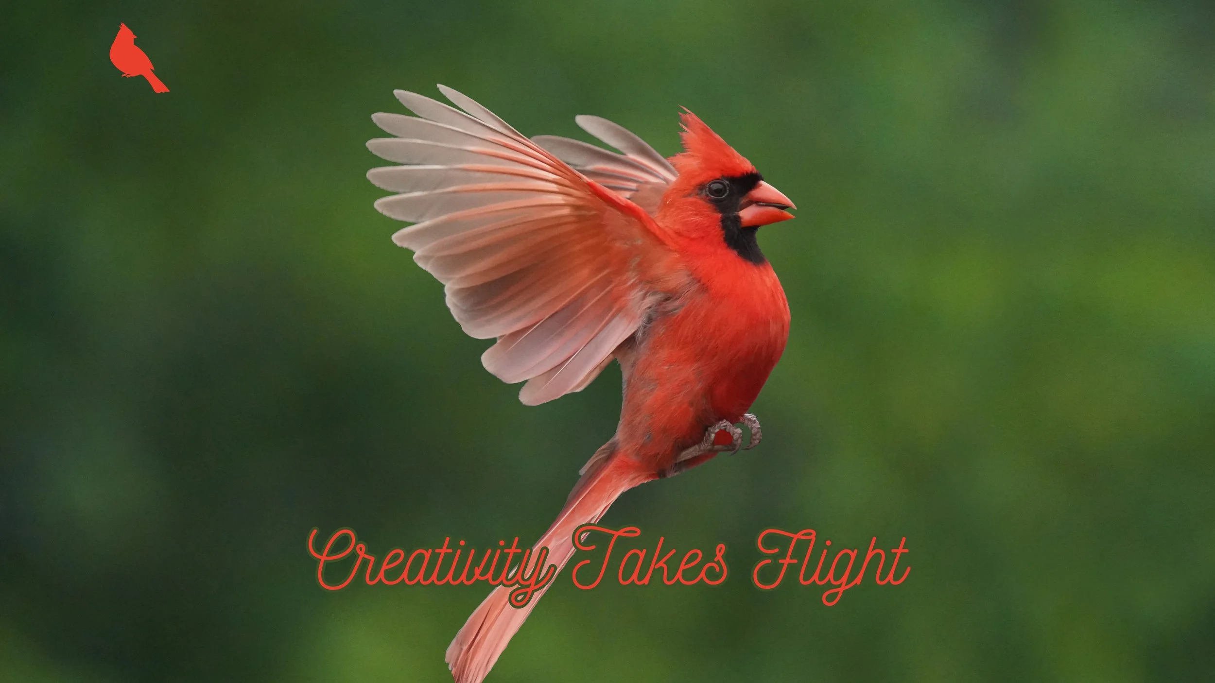 Flight | Desktop