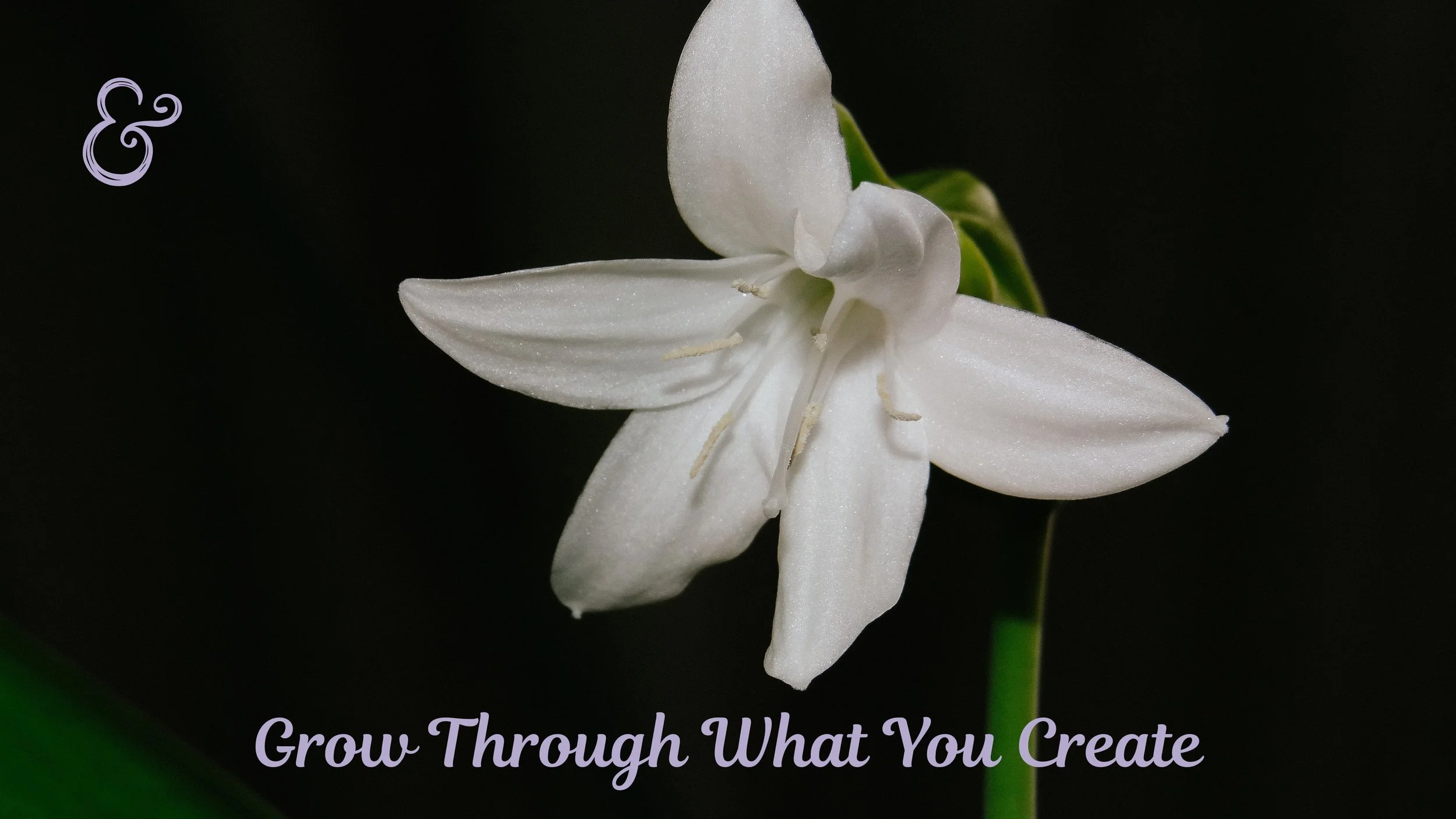 Grow | Desktop