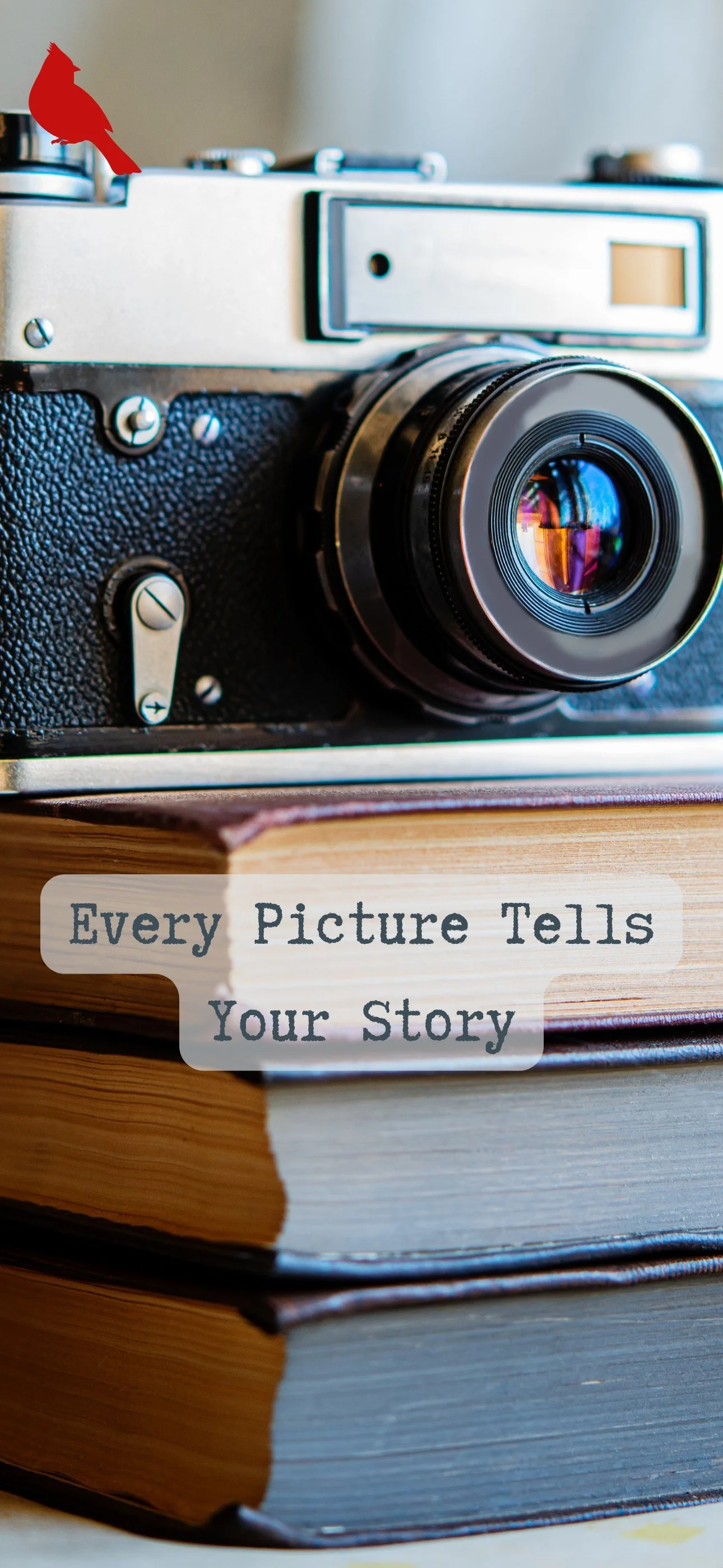Story | iPhone