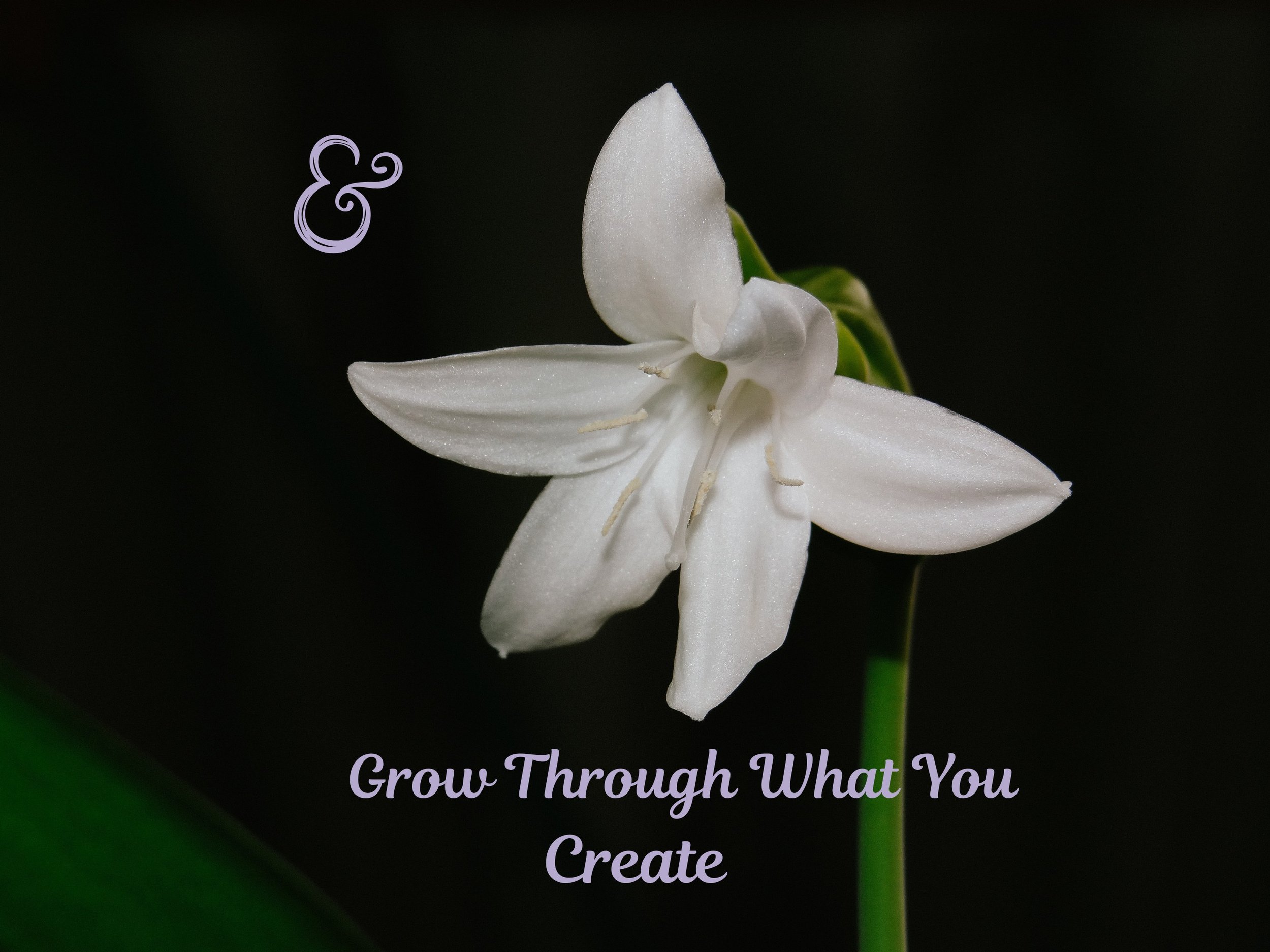 Grow | iPad