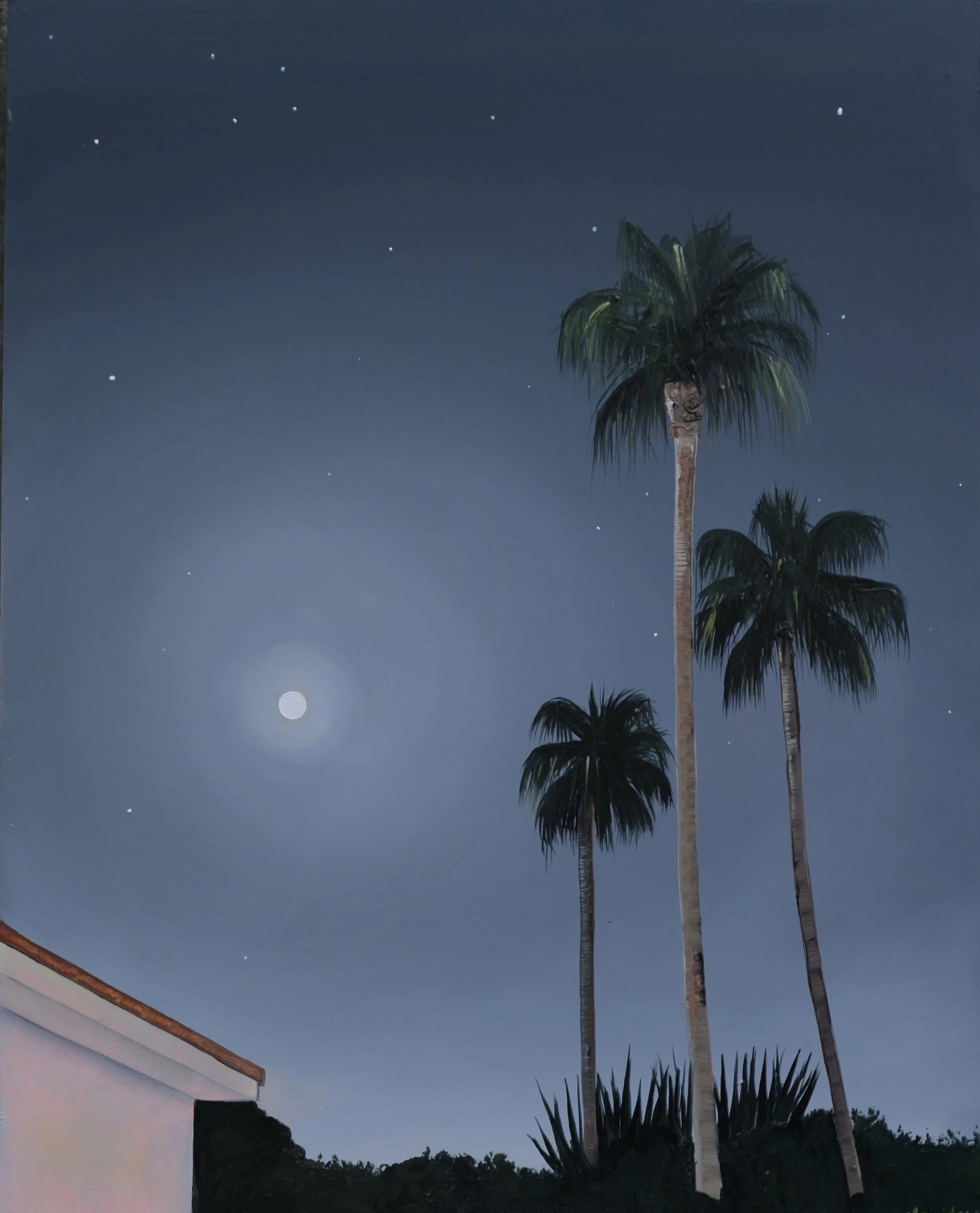 Moonlight palm trees- Oil on wooden panel 