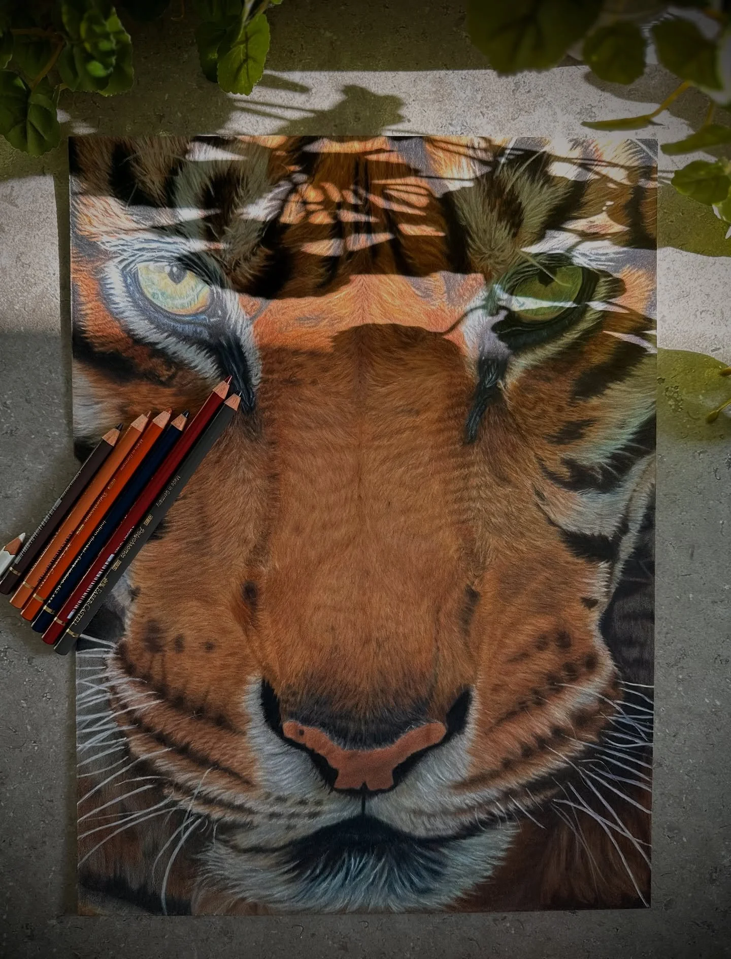 &lsquo;She&rsquo;s patient&rsquo;

Is the name I have given this piece. I had fun with the lighting and trying to make it look like she is hinting prey. 
I love how this piece turned out! 

#colouredpencildrawing #pencilartwork #pencildrawingart #ani