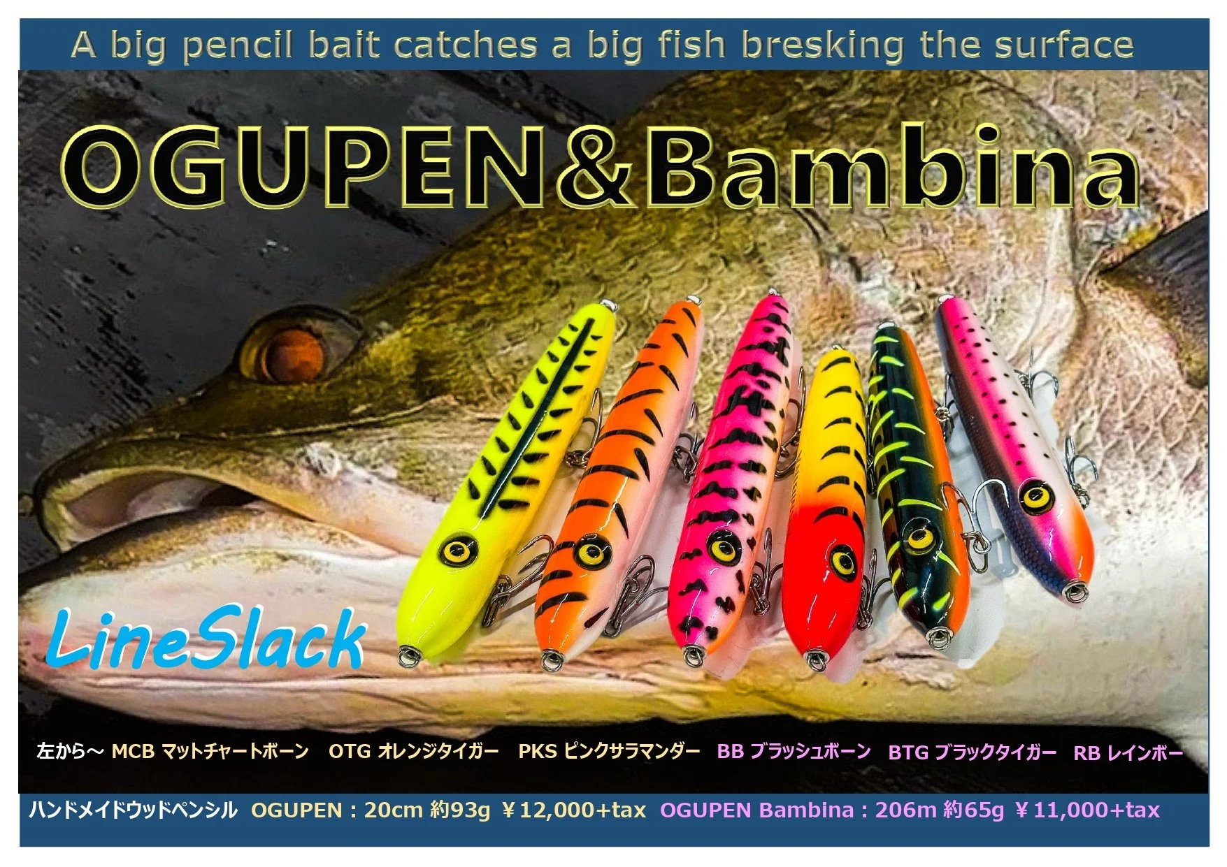 予約商品 ラインスラック オグペン20㎝ LINESLACK OGUPEN 10/23迄受付