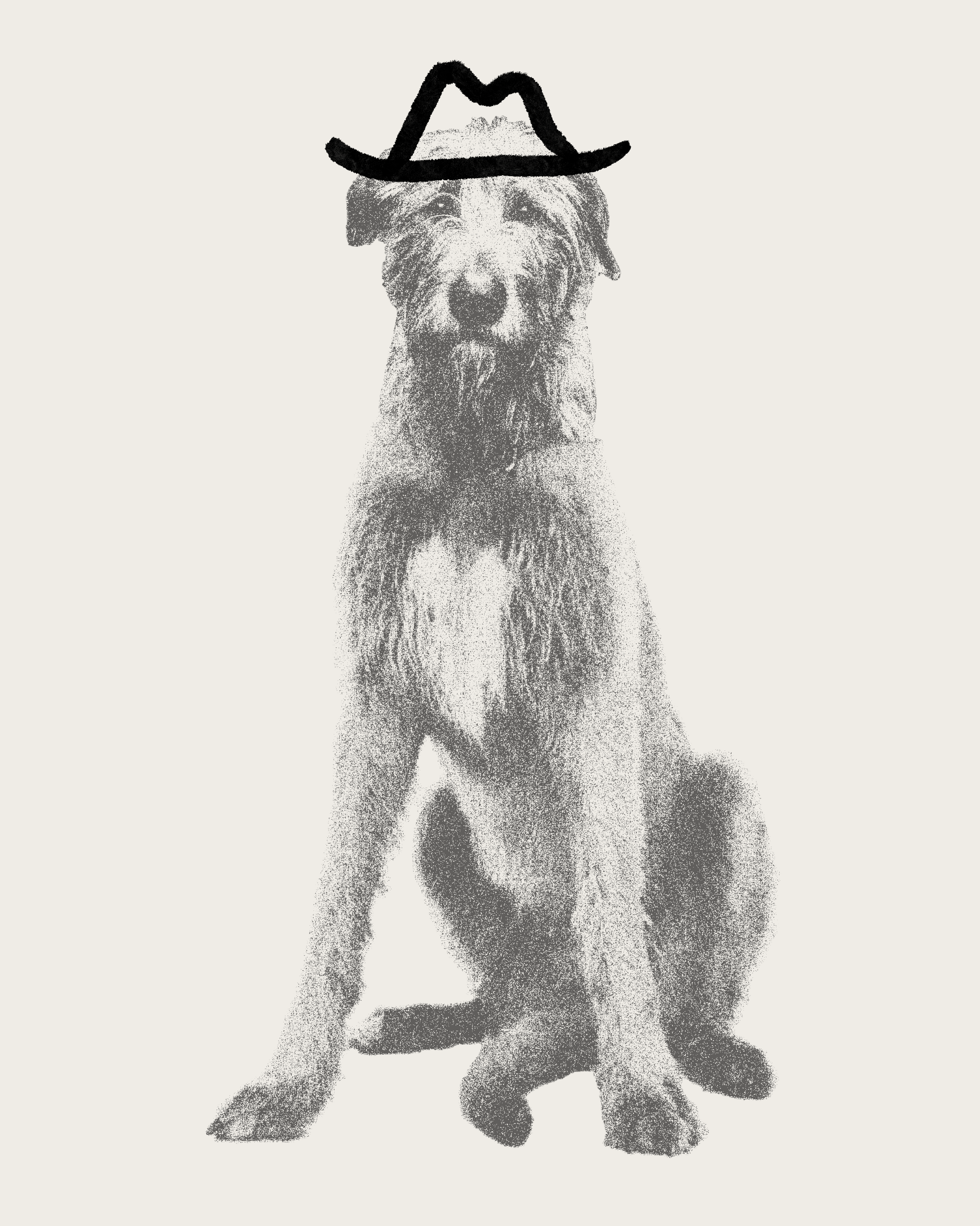 A black and white illustration of a sitting dog with a hat drawn on its head.