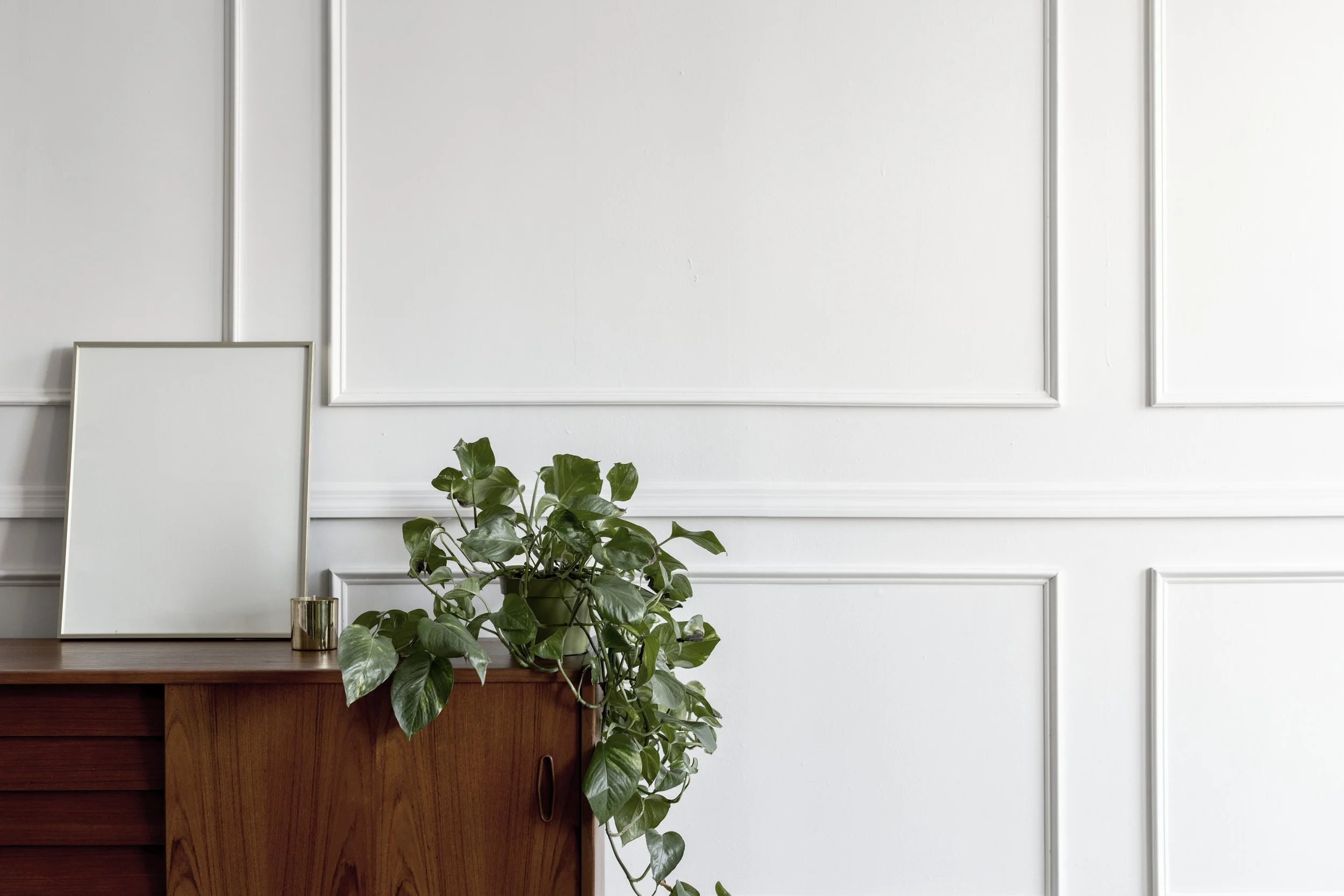 white wall panelling