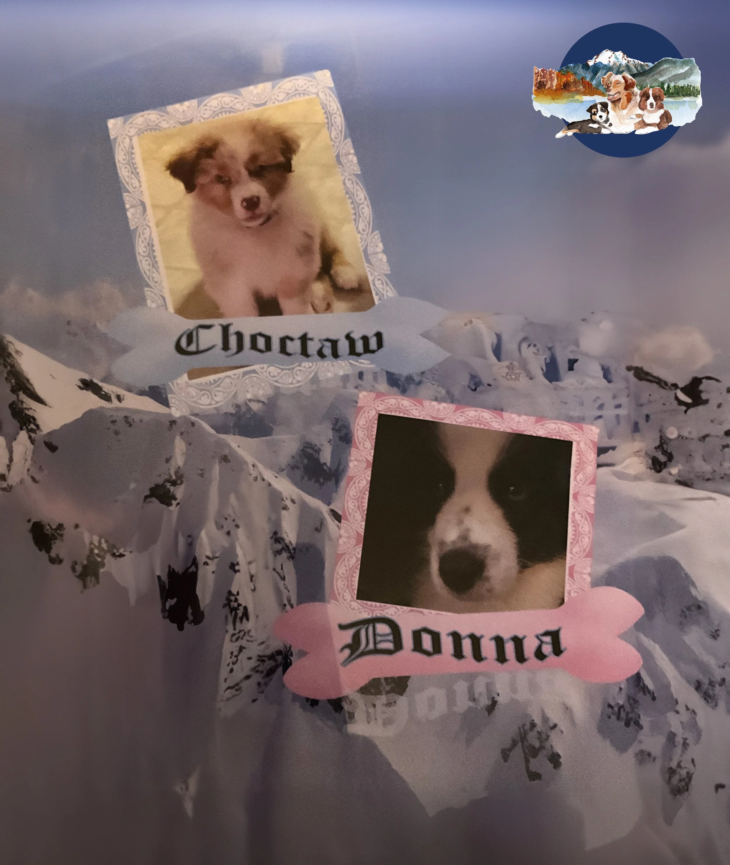 Taw Donna Young.jpg