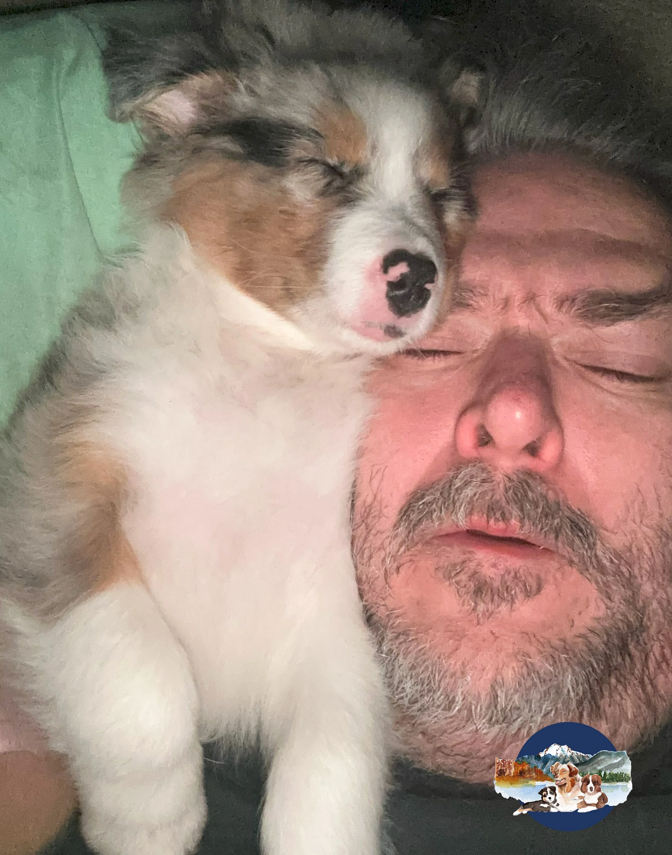 Boots Sleeping (1).jpg