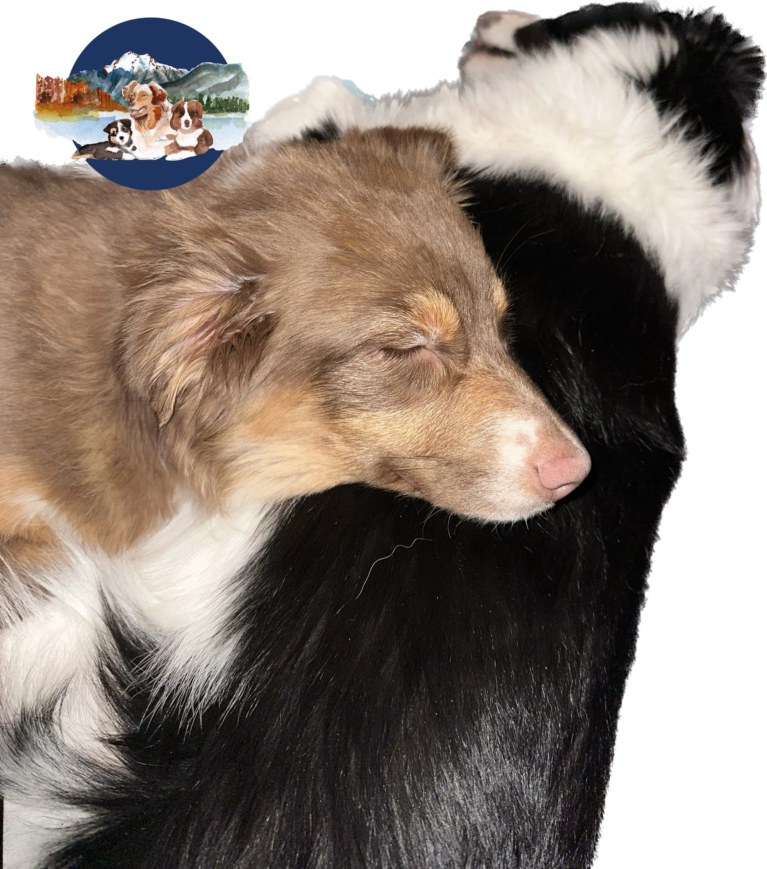 Britches and Donna-567b64d.jpg