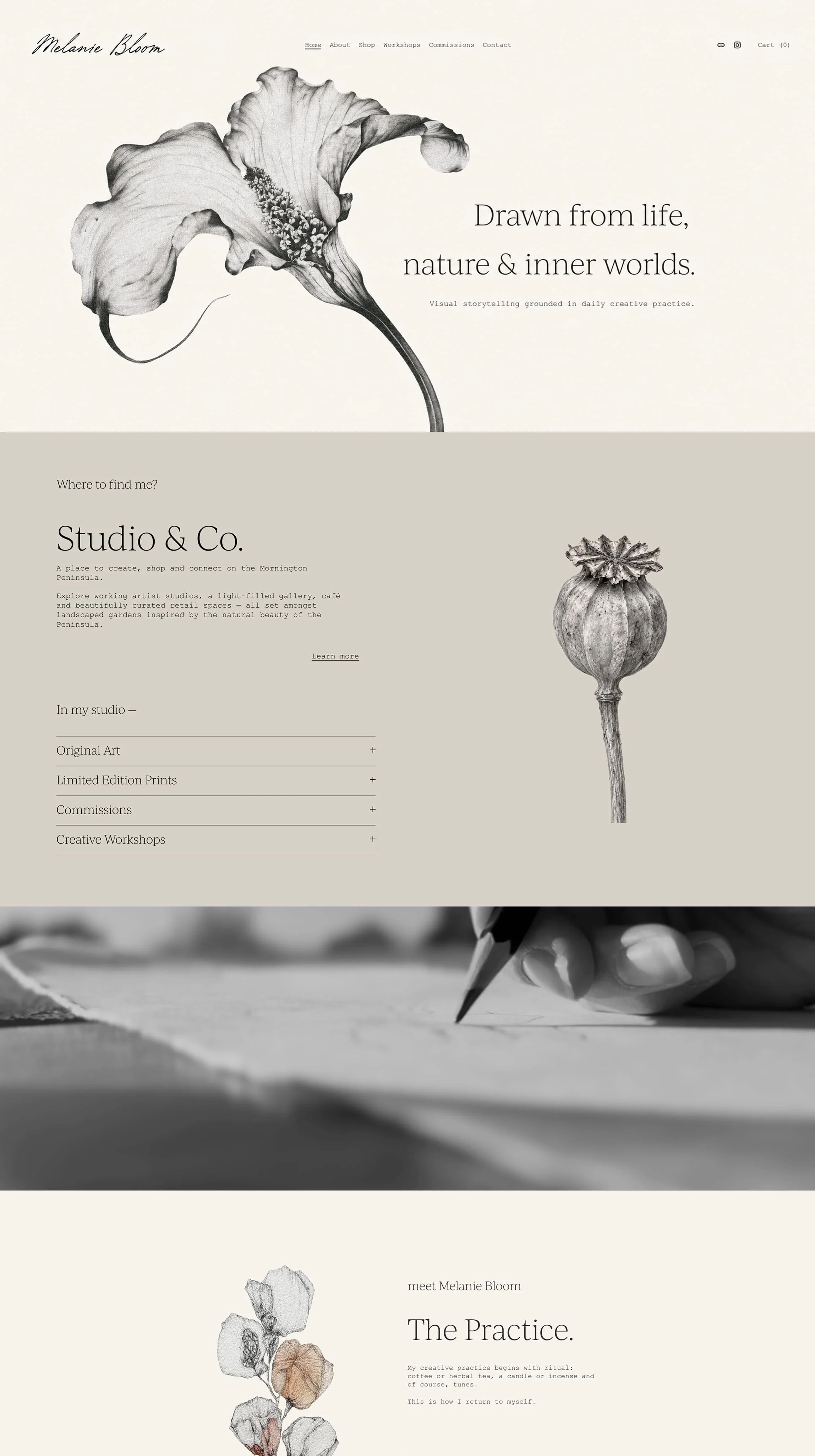 A website homepage for Melanie Bloom featuring black and white botanical illustrations of flowers and seed pods, with a clean minimalist design and navigation menu at the top.