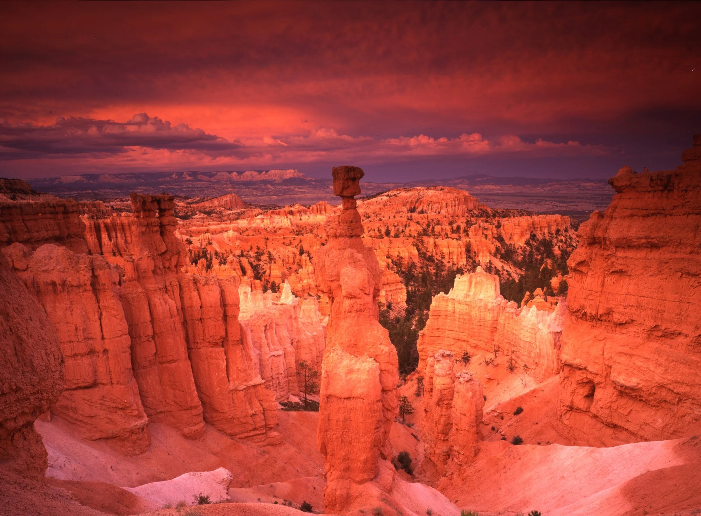 Landscapes of Bryce Canyon National Park with tall rock formations and hoodoos at sunset, showing a colorful sky with clouds