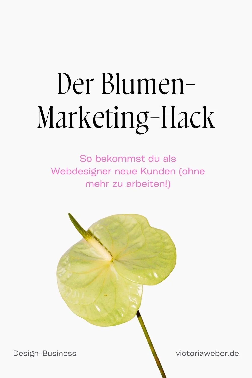 Passiv mehr Kunden bekommen als Webdesigner: DAS ist ein Must-do!
