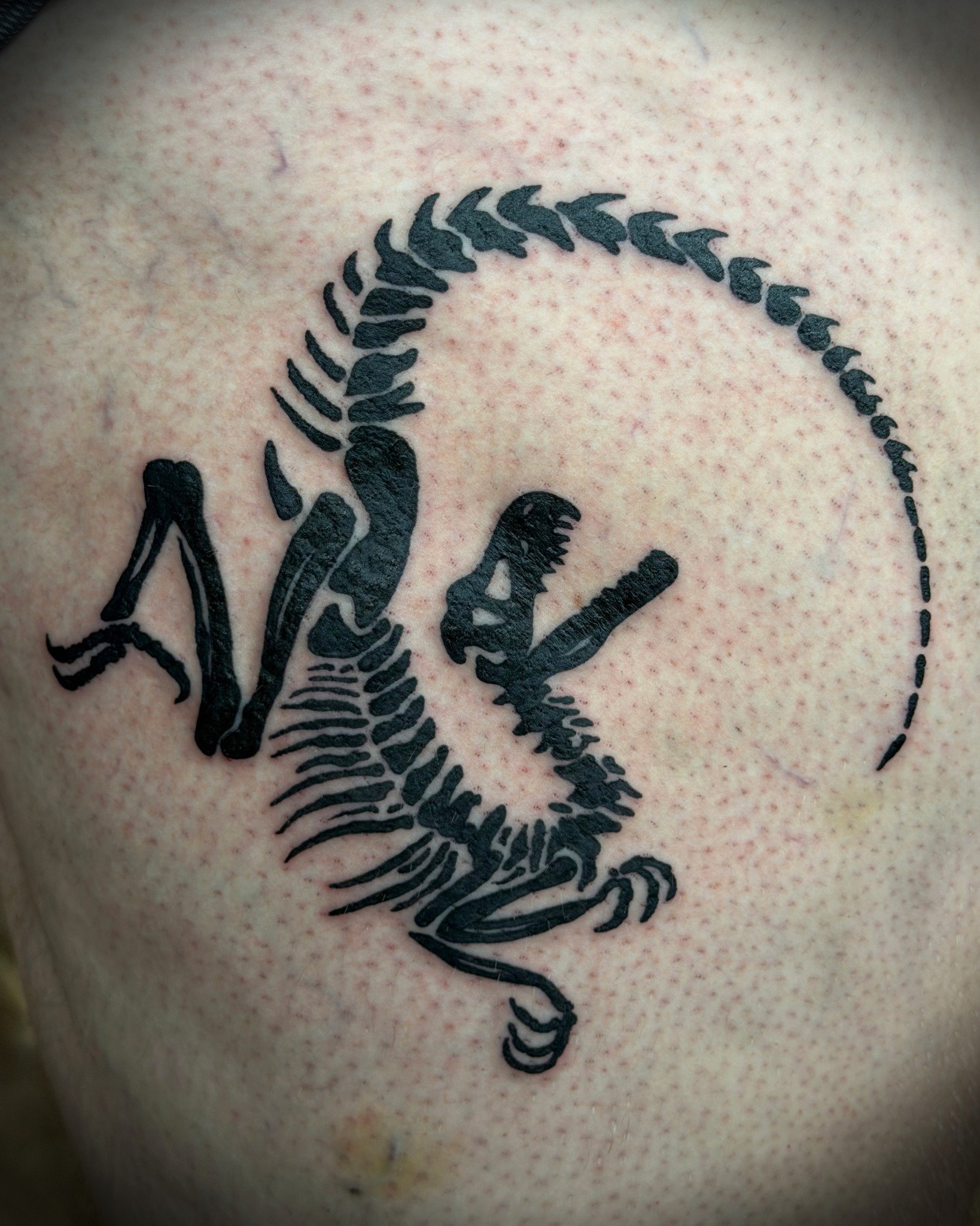Rissa recently did this Velociraptor design. 

Check out her instagram @rissa_skinworksowasso