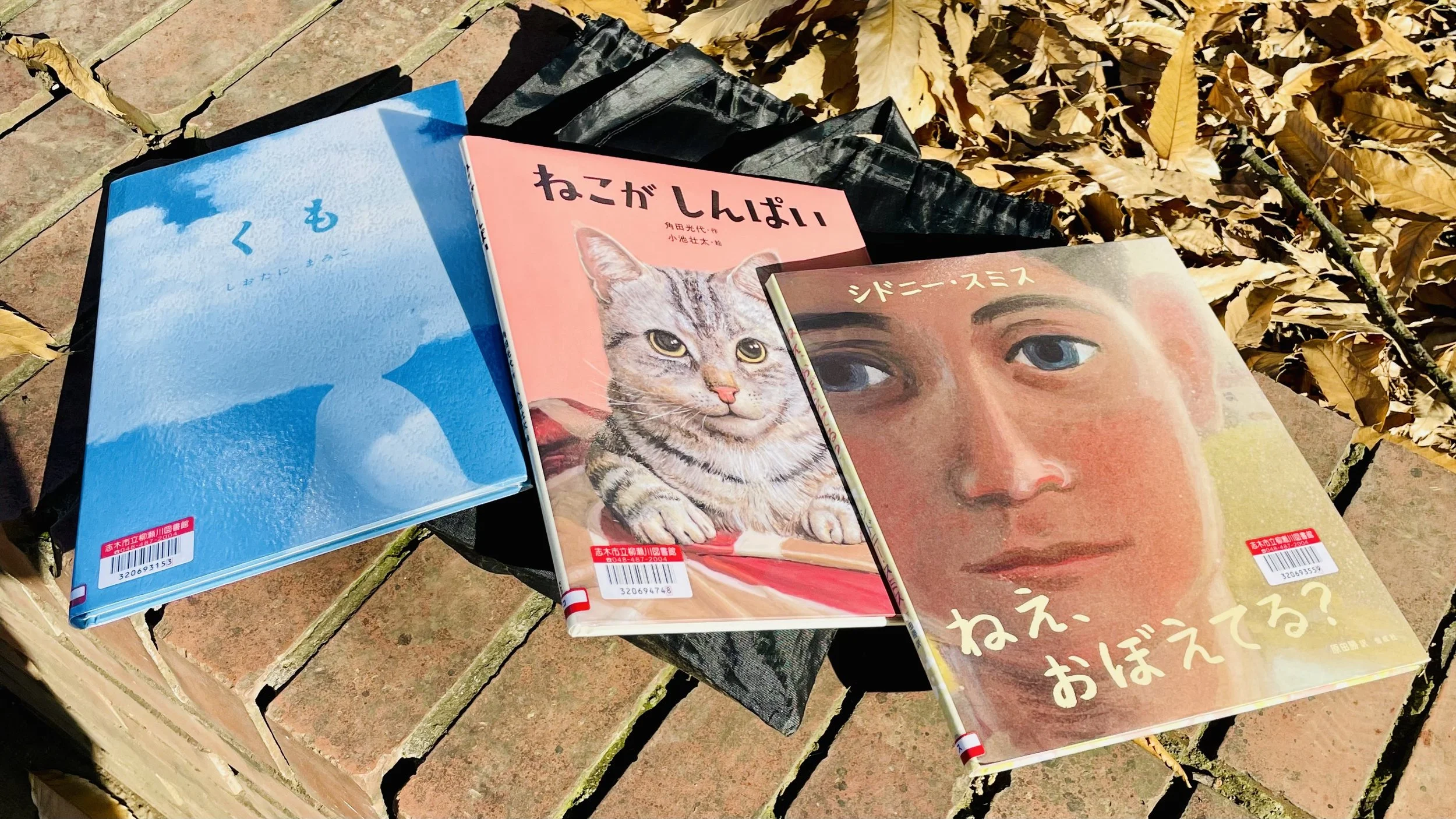 私のお気に入り新着絵本３点。柳瀬川図書館（埼玉県志木市）