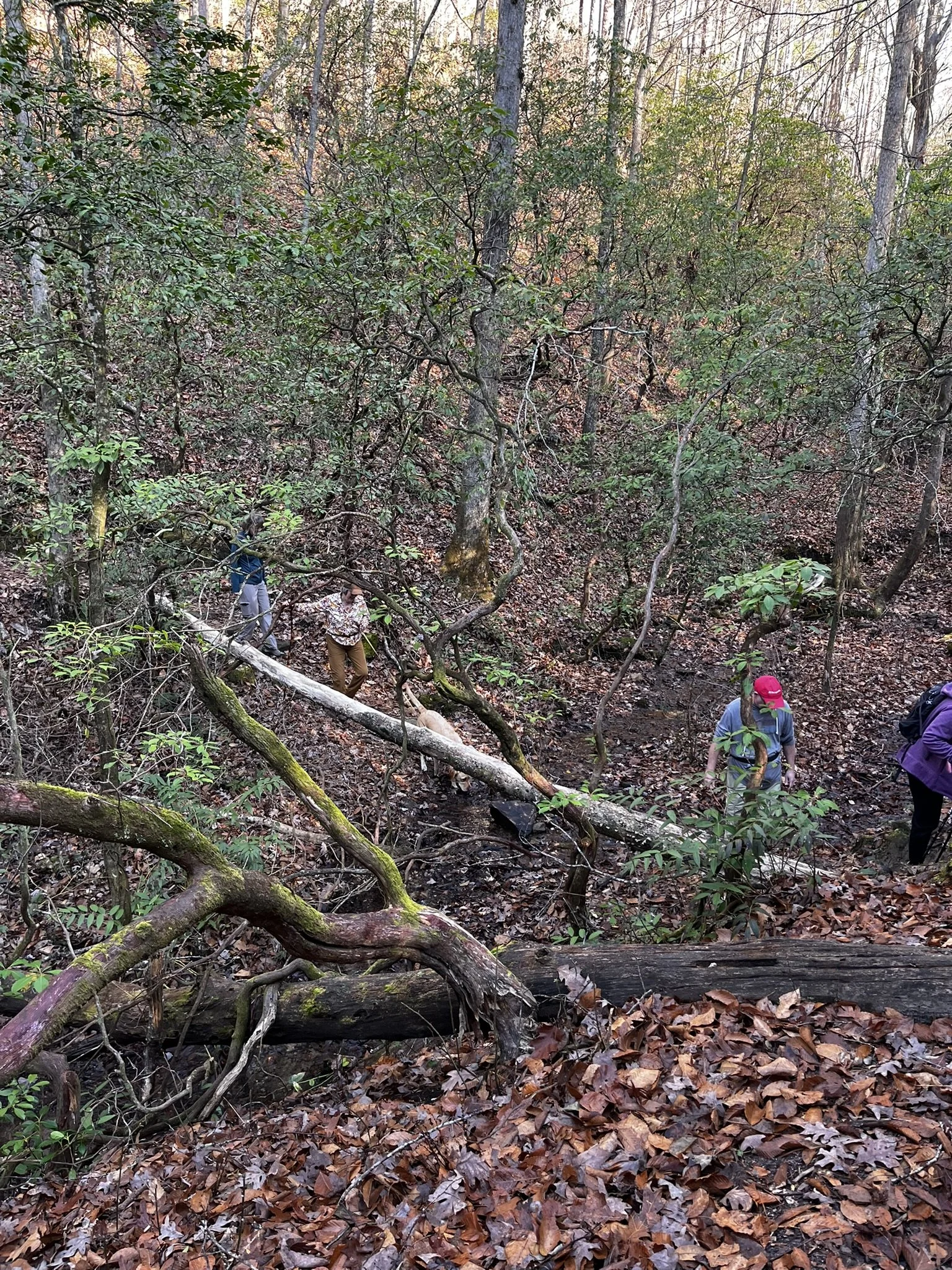 Hiking Club at Table Rock State Park - 12.27.2025