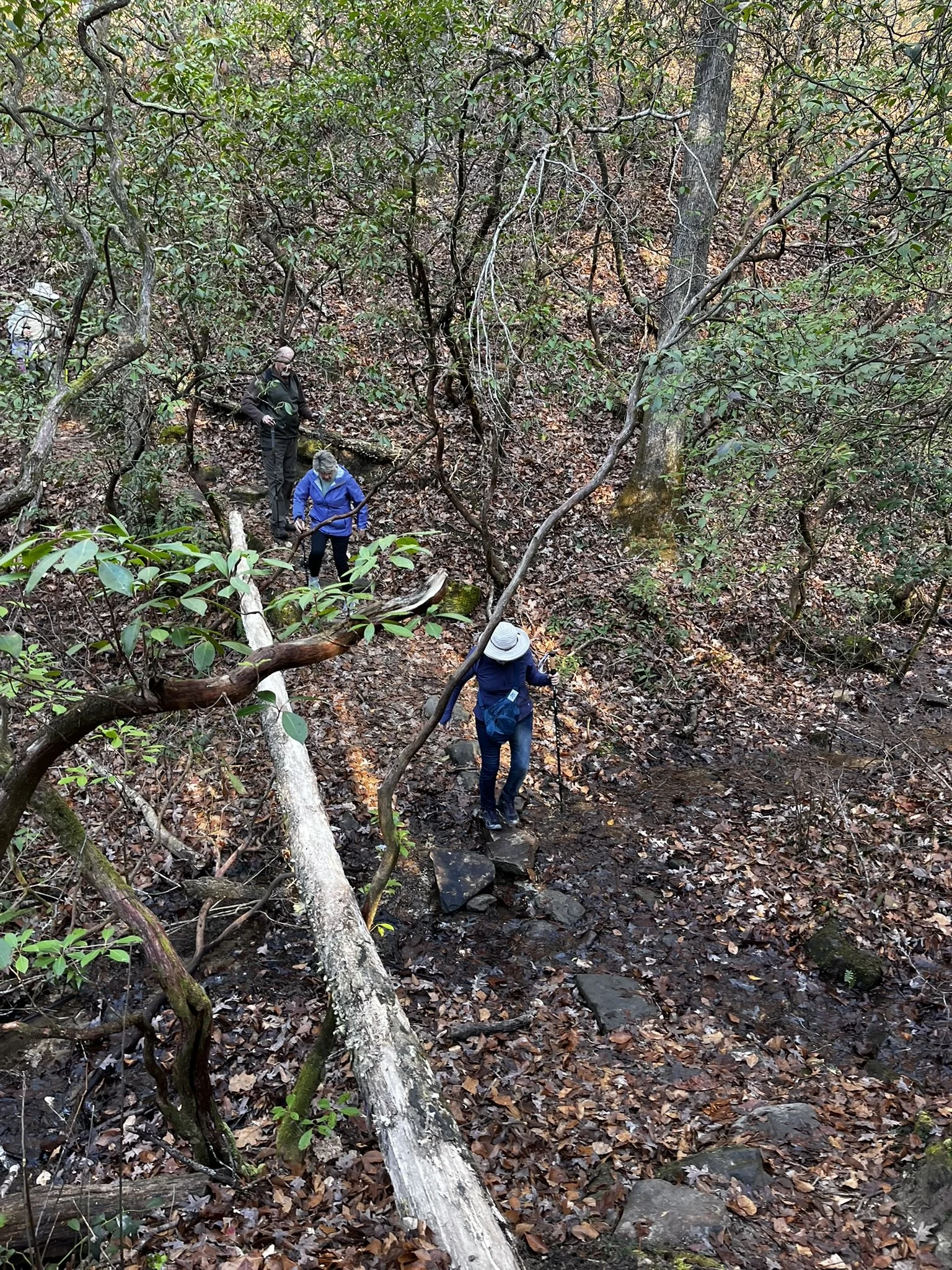 Hiking Club at Table Rock State Park - 12.27.2025