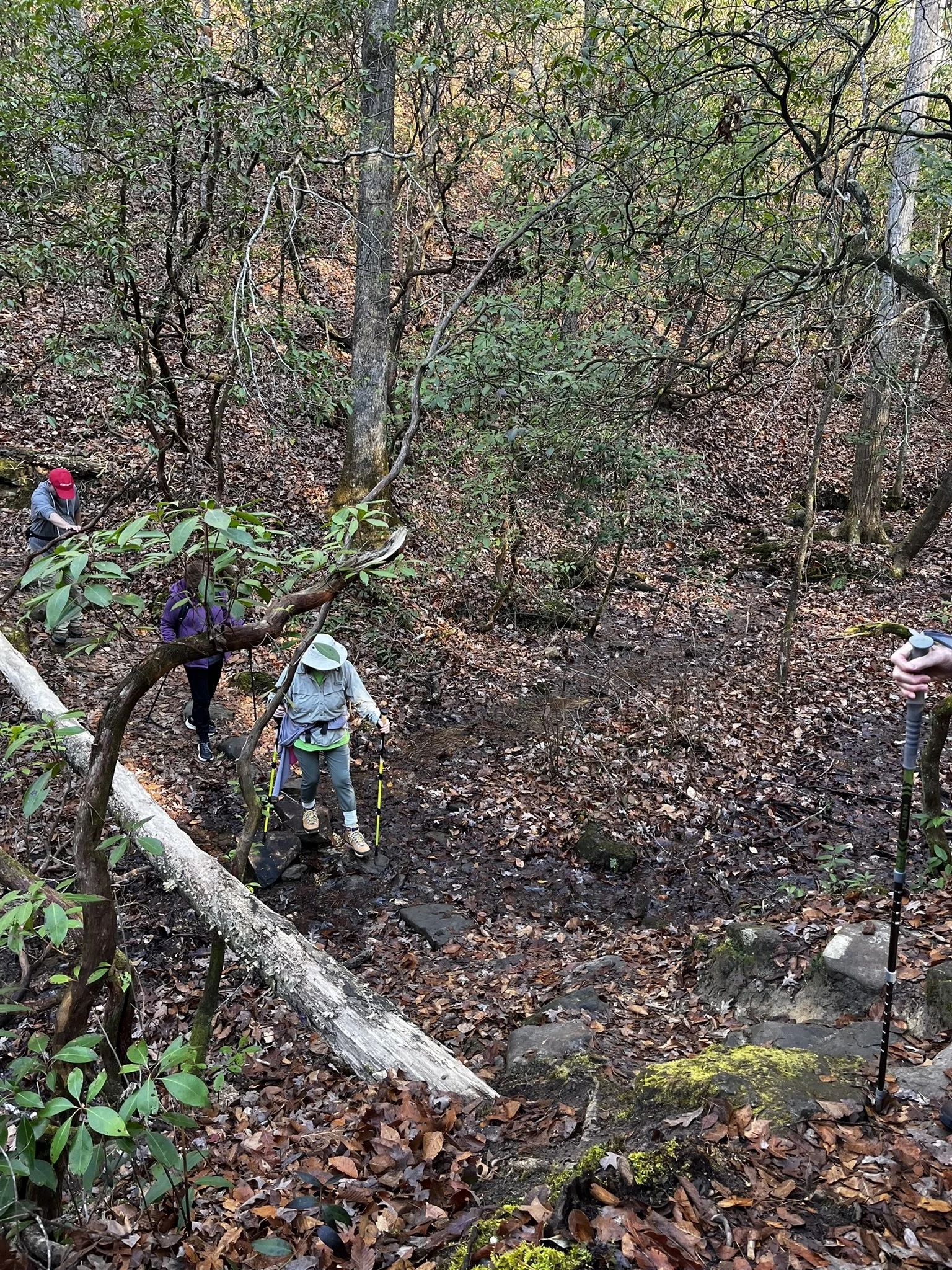 Hiking Club at Table Rock State Park - 12.27.2025