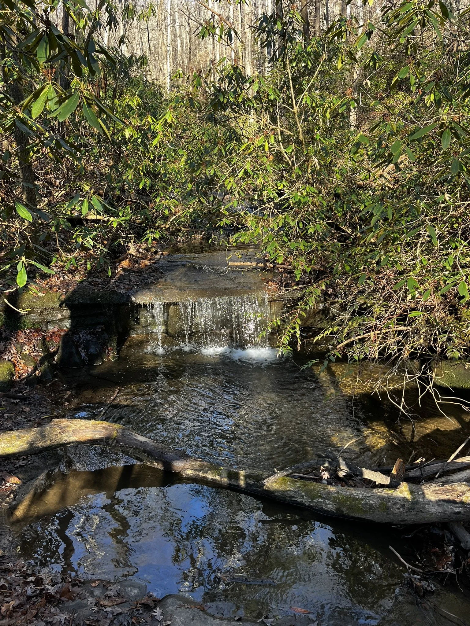 Hiking Club at Table Rock State Park - 12.27.2025