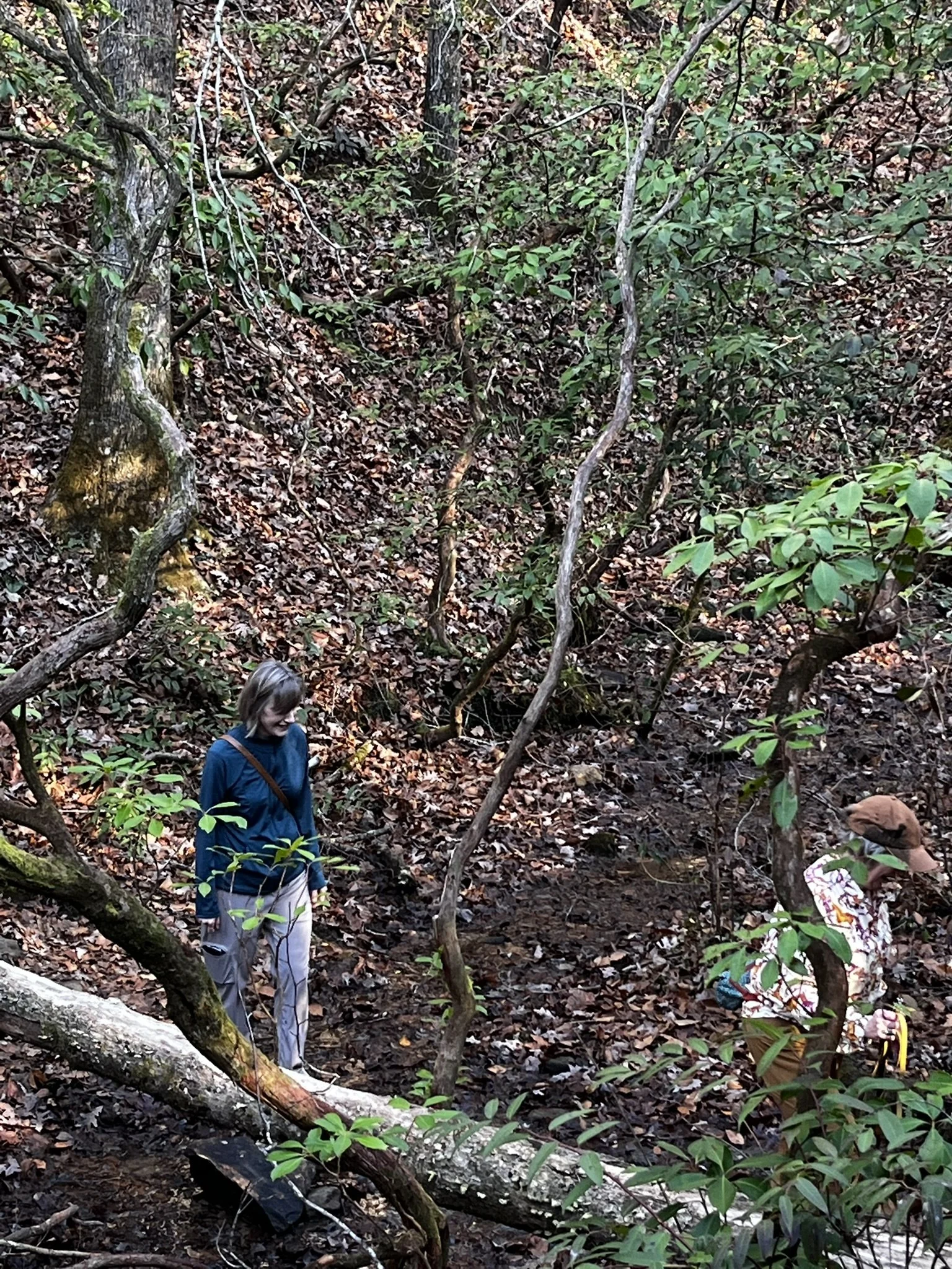Hiking Club at Table Rock State Park - 12.27.2025
