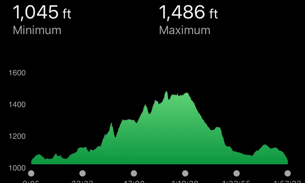 Hiking Club at Chestnut Ridge Preserve
4.11.2026
