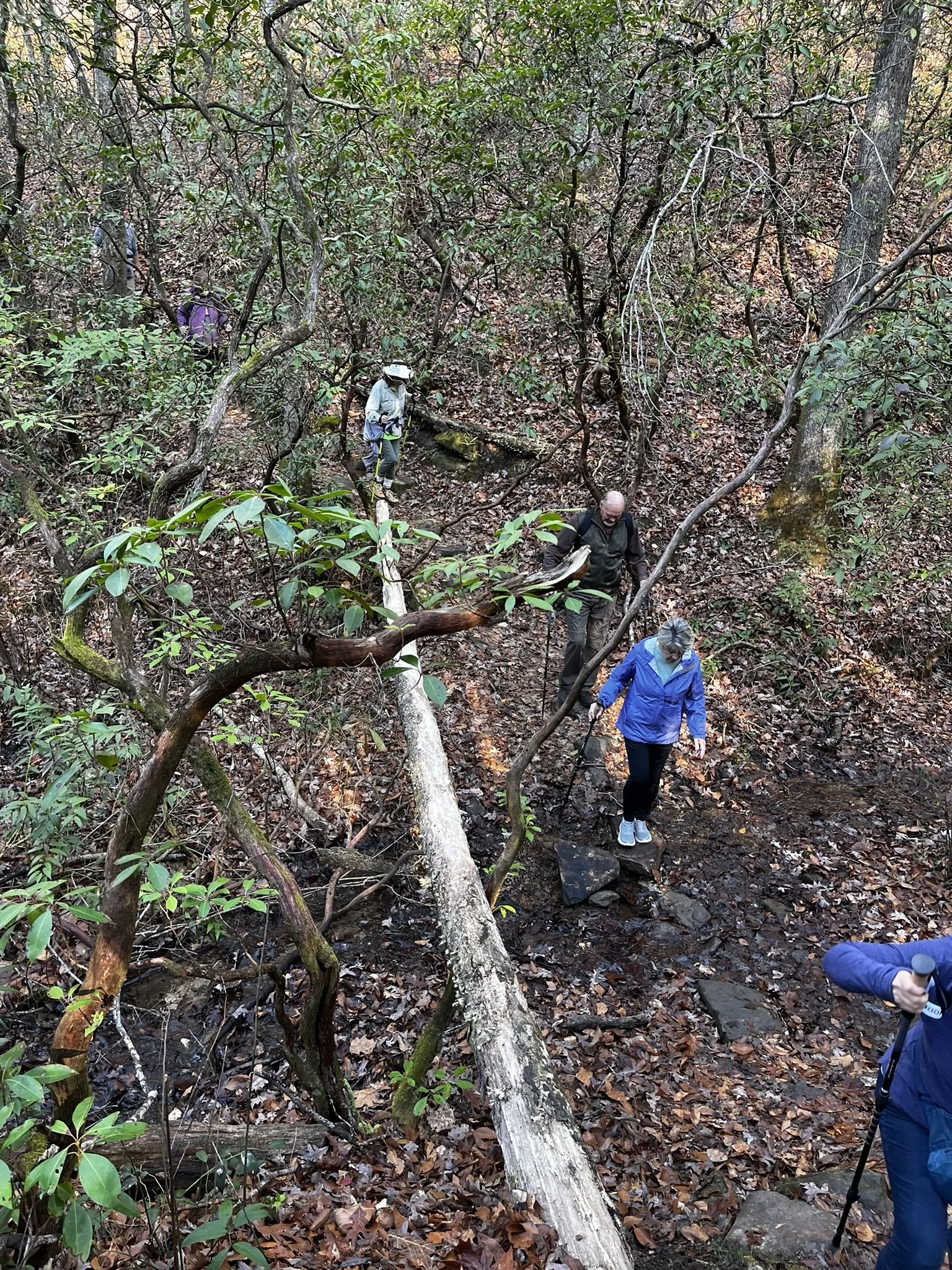 Hiking Club at Table Rock State Park - 12.27.2025