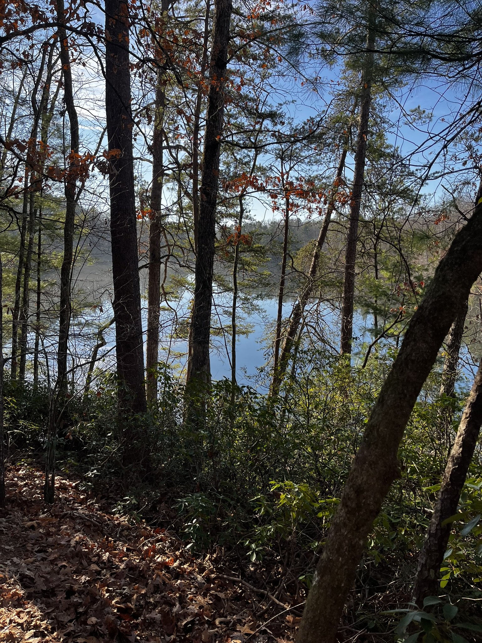Hiking Club at Table Rock State Park - 12.27.2025