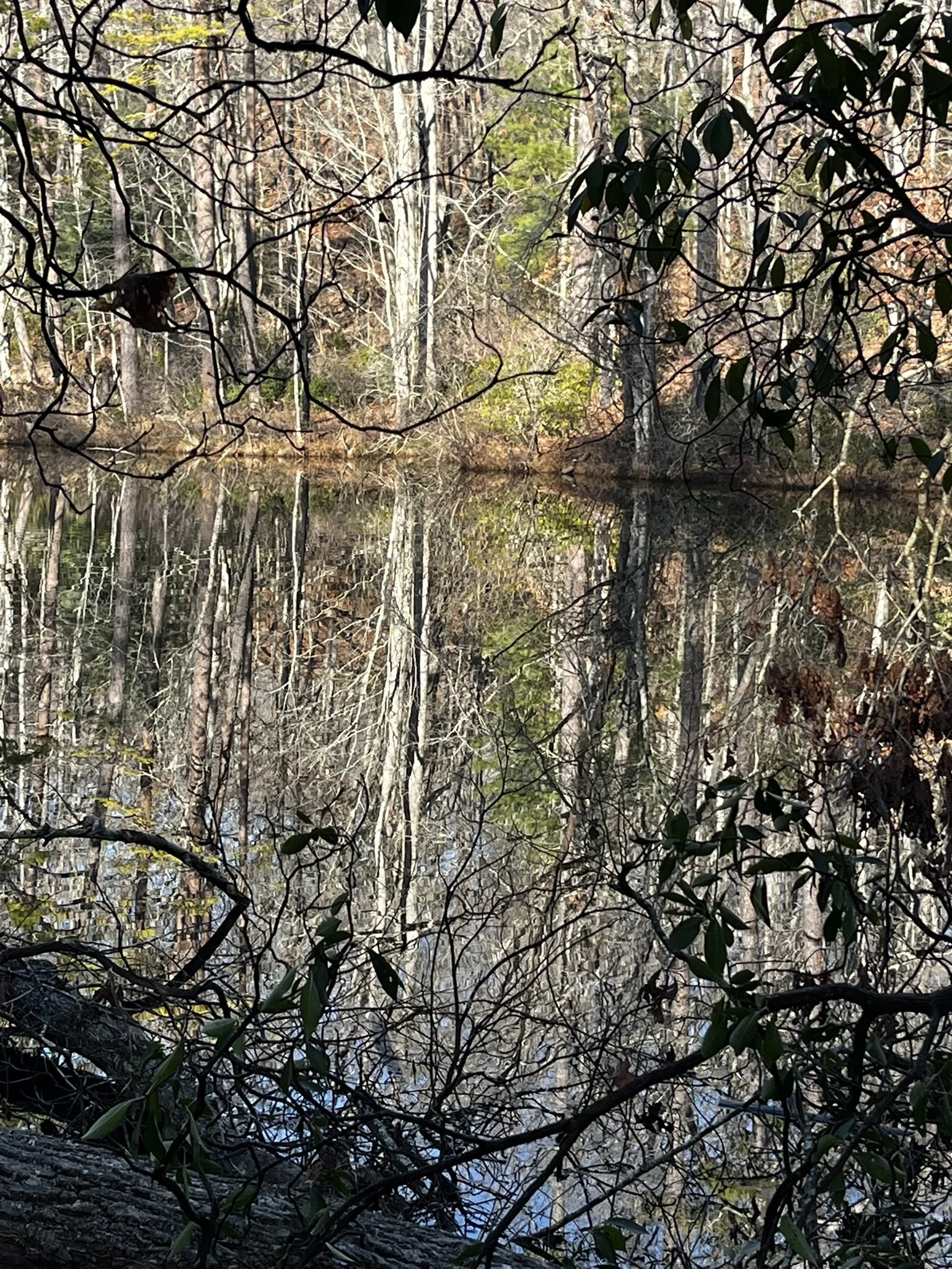 Hiking Club at Table Rock State Park - 12.27.2025