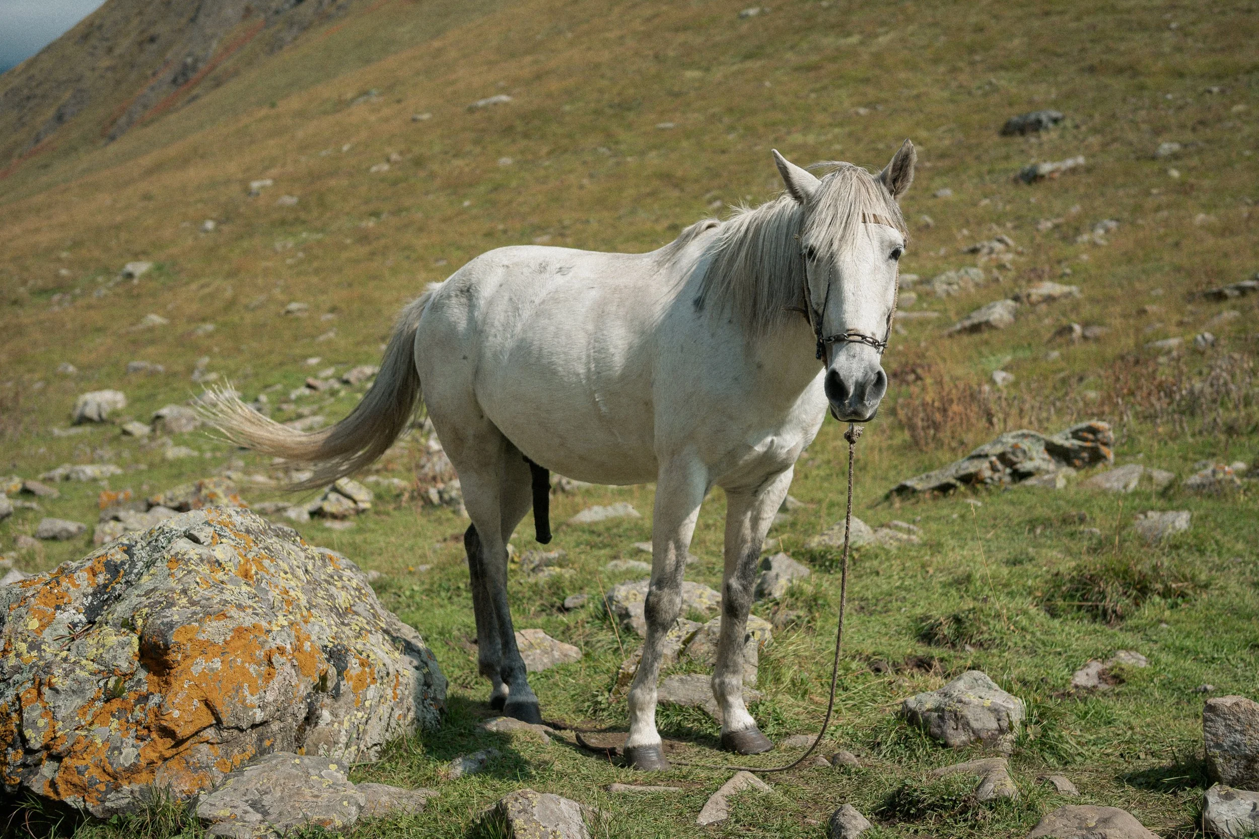 DSC_3901.jpg
