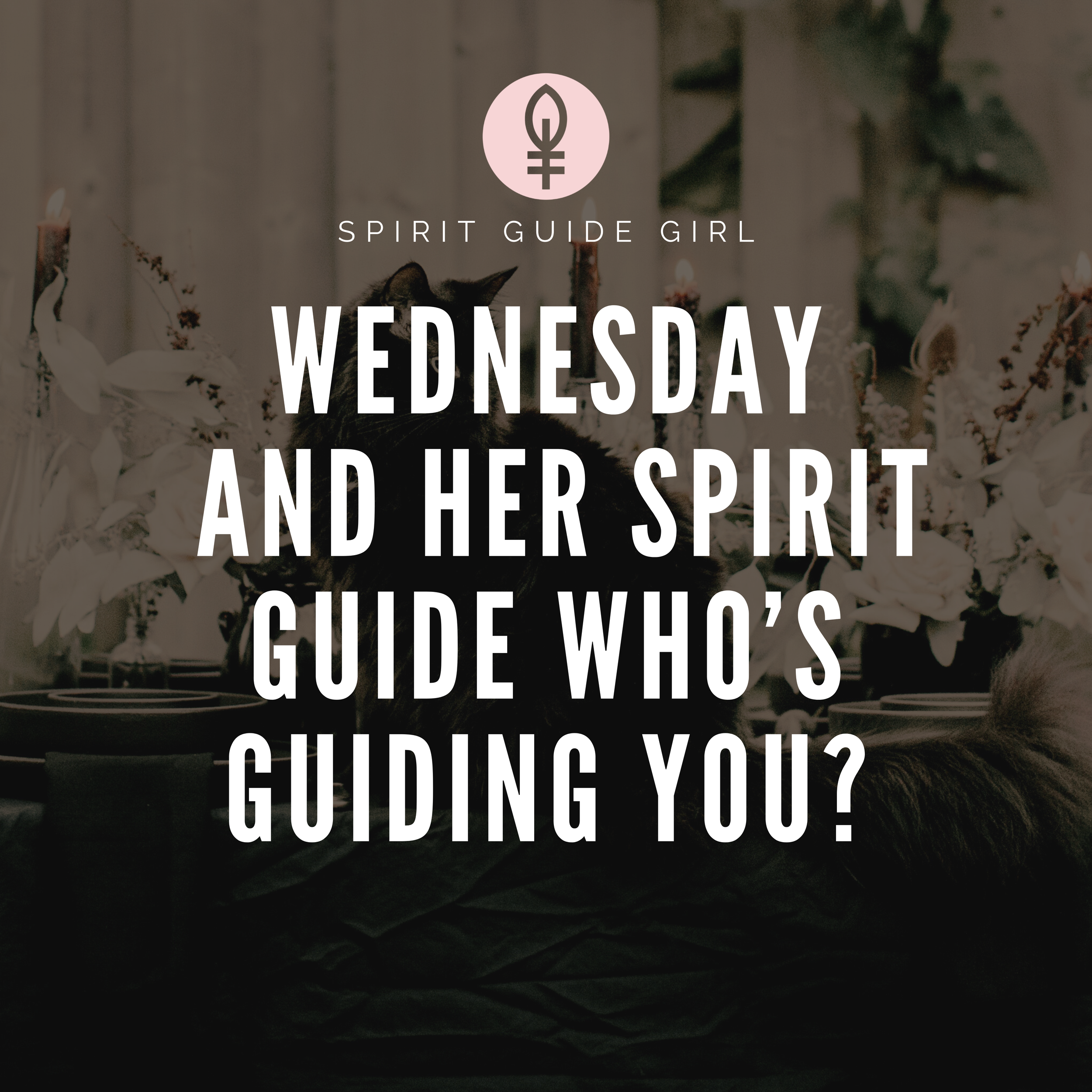 Wednesday and Her Spirit Guide — Who’s Guiding You?