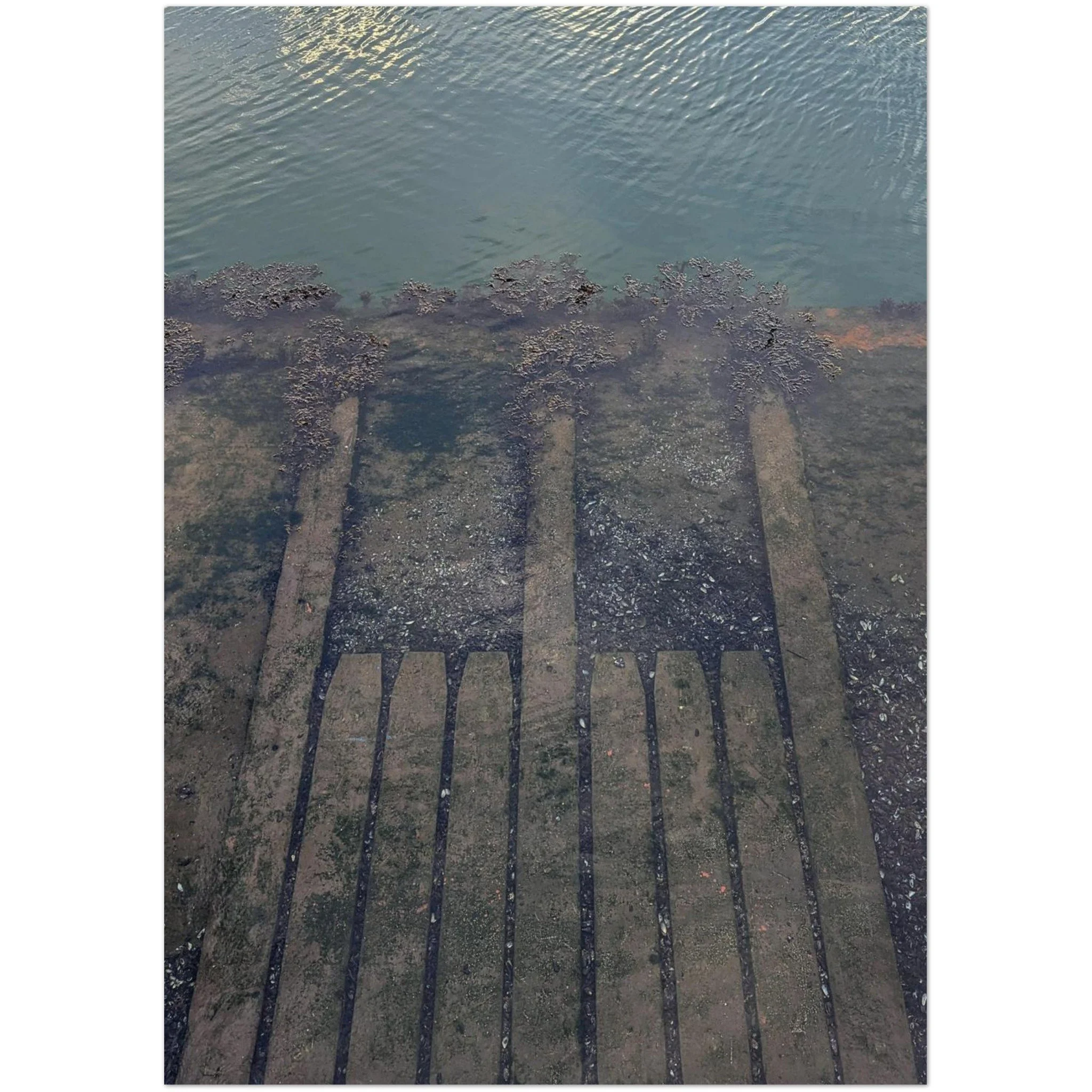 tmp-160-d2FS4nTiT43N