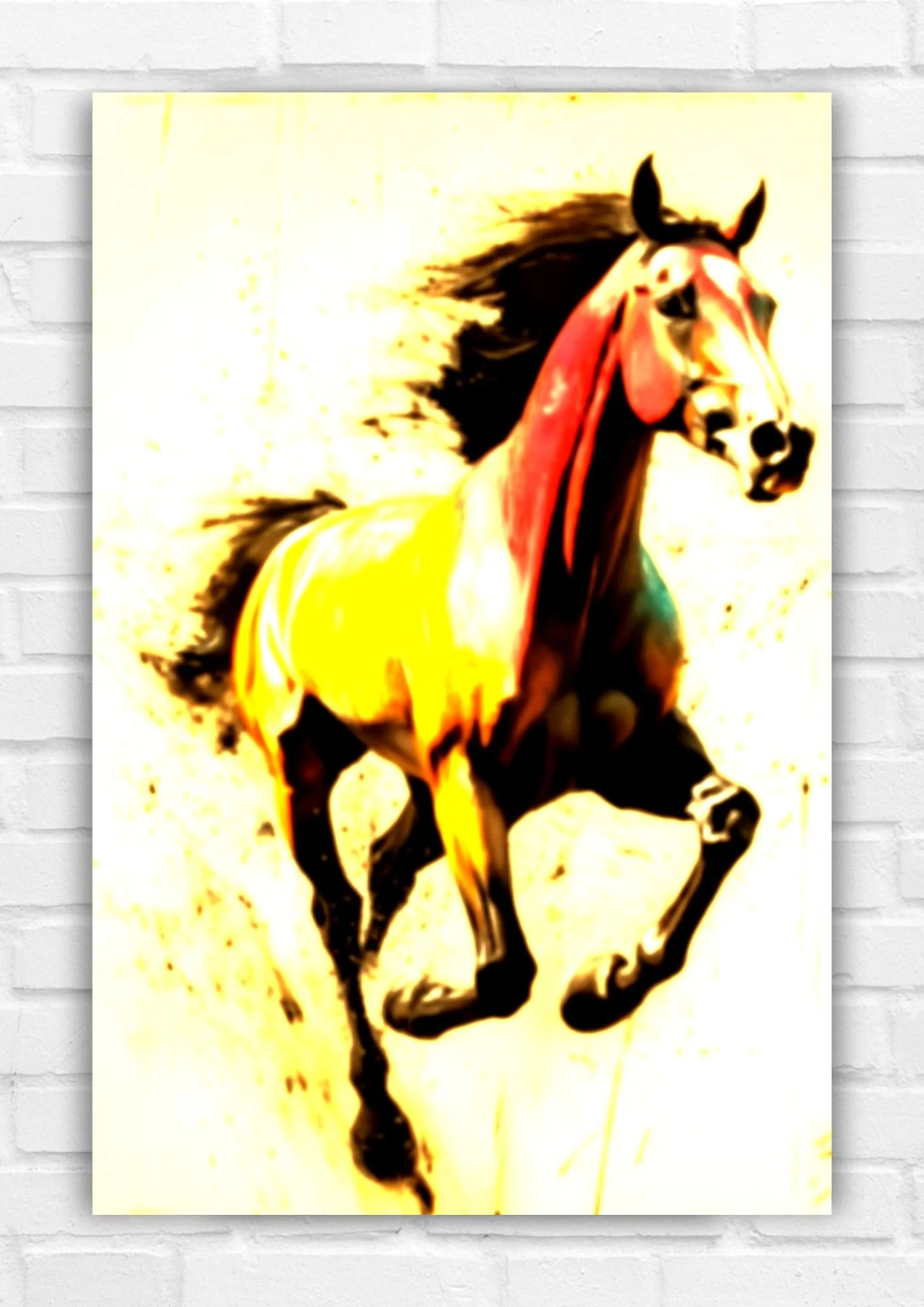 horse2.jpg