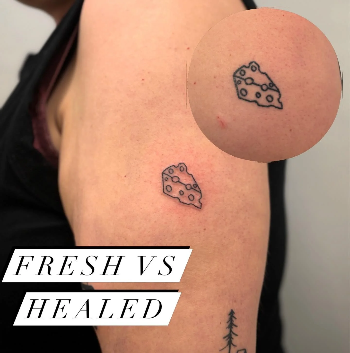 It was great to see how well these had settled in for Jo! We also added new pieces around these but these healed so well they deserved their own post ✨ 

@supertouchtattooparlour 

#handpoke #handpoketattoo #tattoo #fineline #healedhandpoke