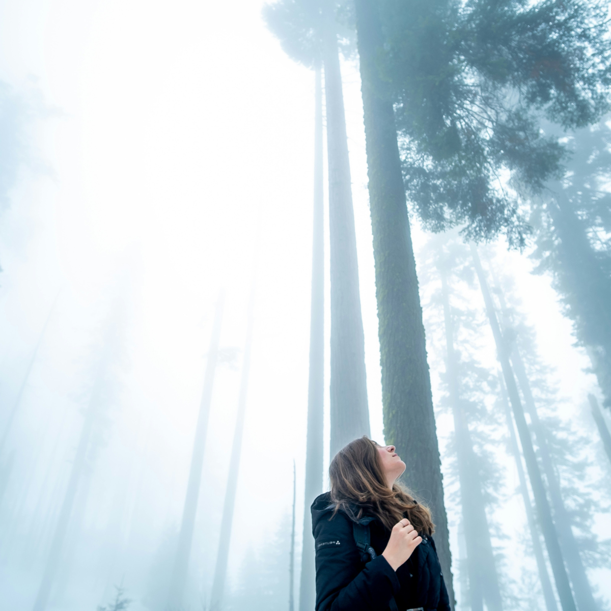 Spiritual rest - A woman with brown hair in a black jacket standing in a foggy forest of tall trees, looking up thoughtfully.