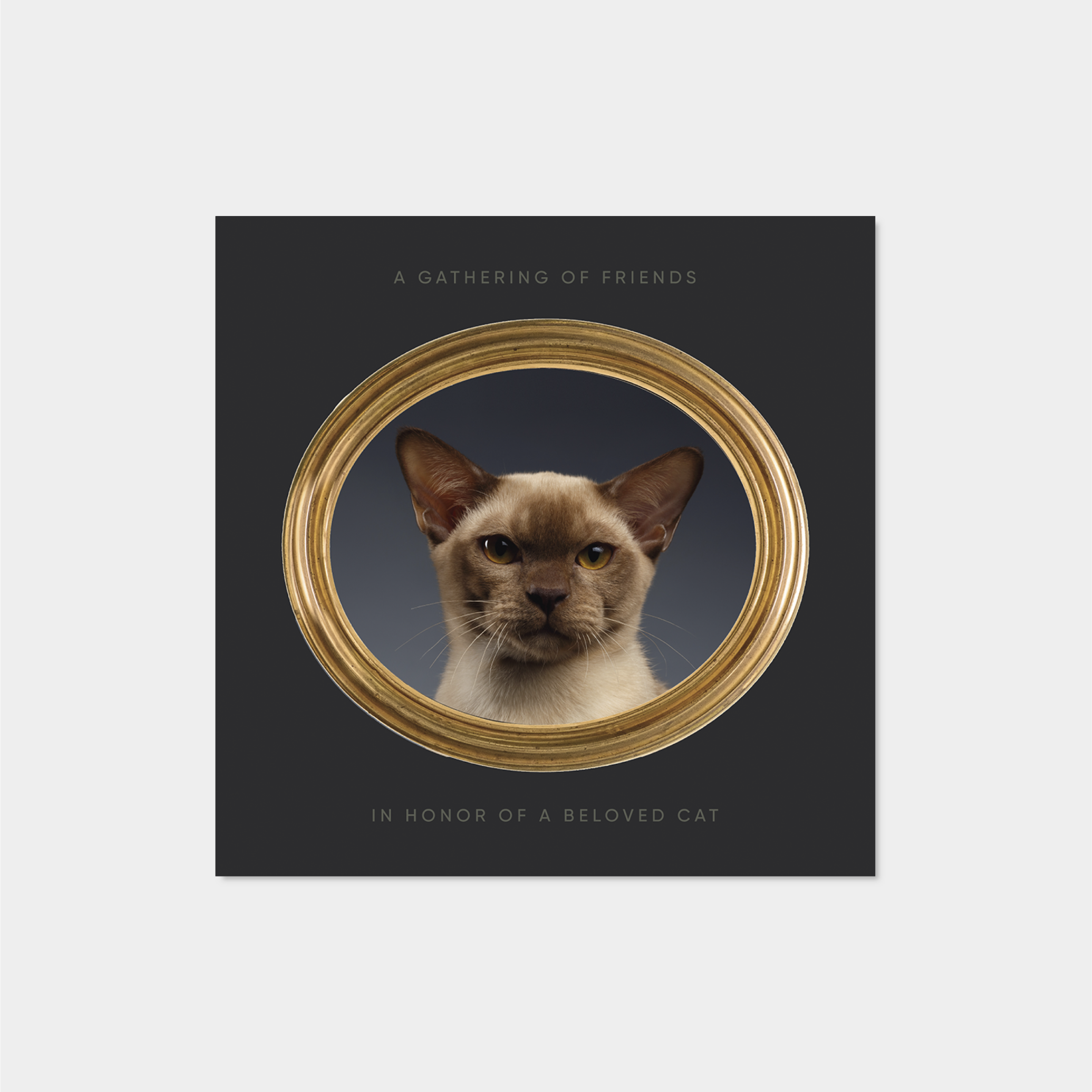 pet-portrait-square-card.png