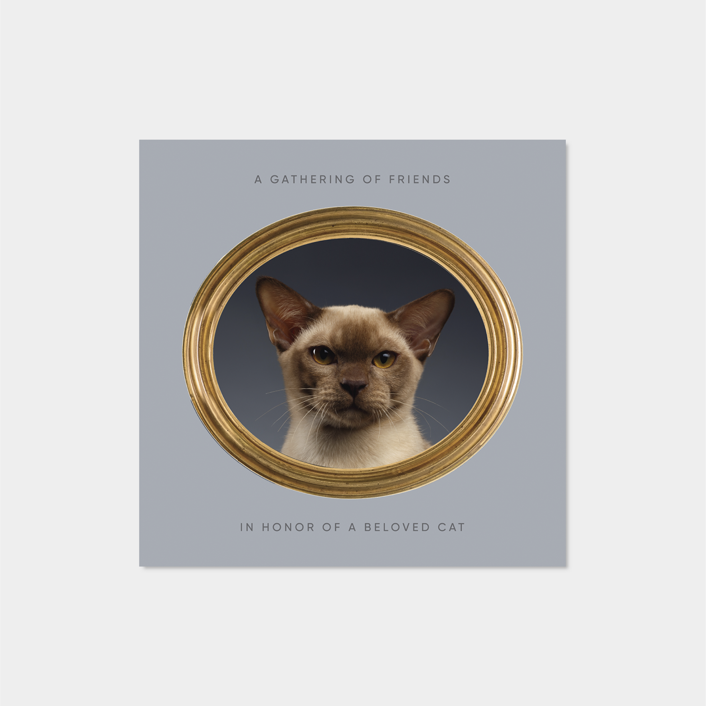 pet-portrait-square-card-ii.png