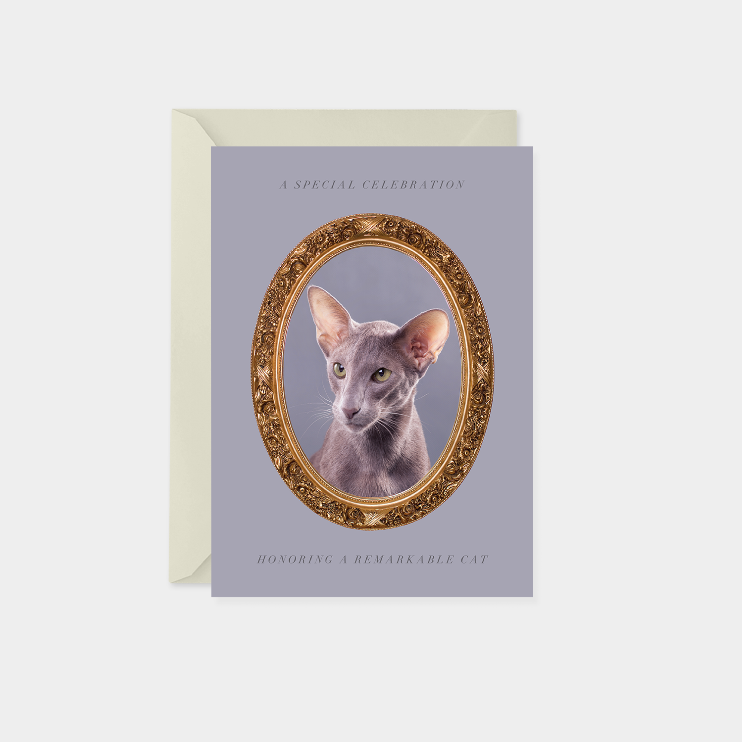 pet-portrait-card-ii-2.png