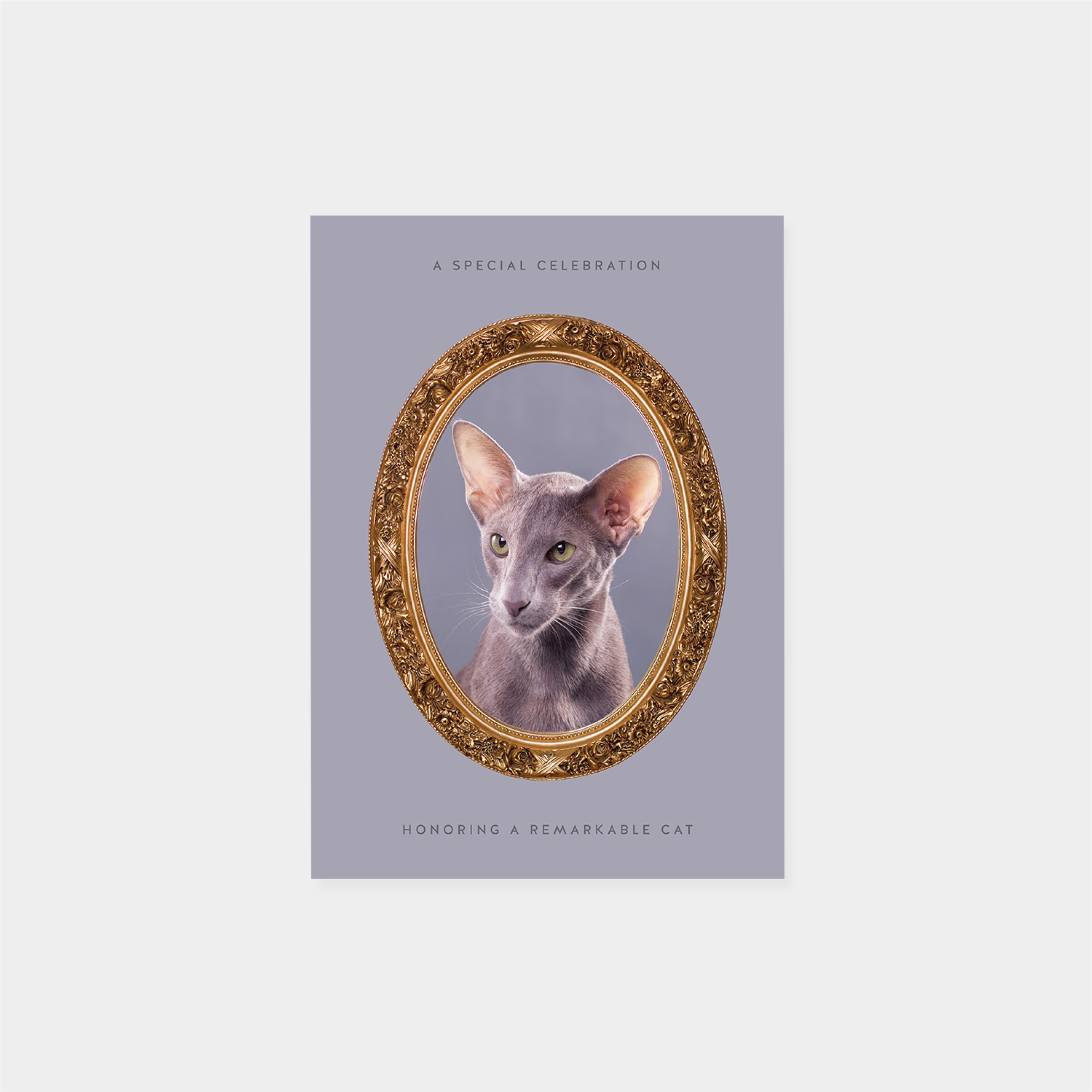 pet-portrait-card-ii.png