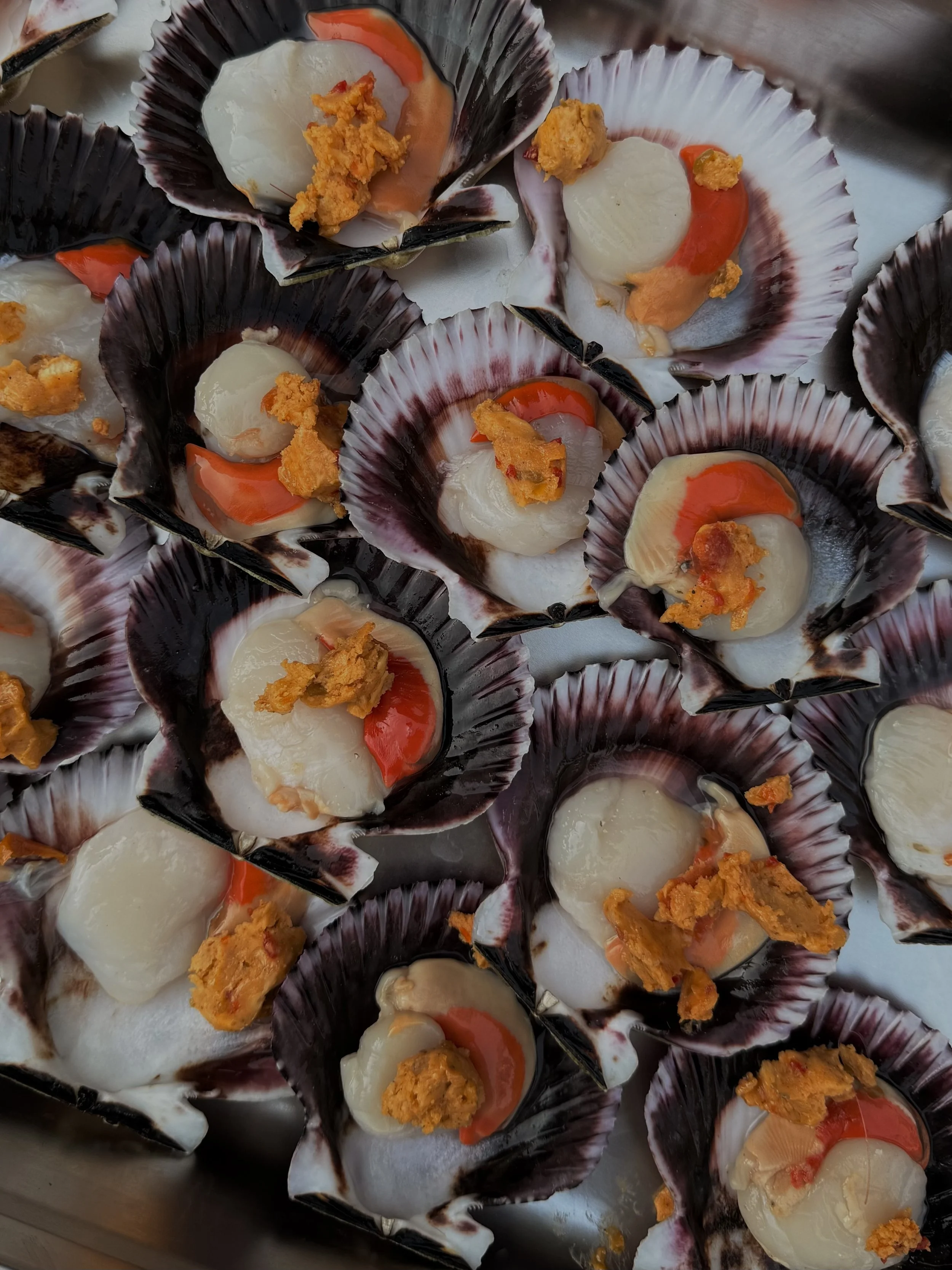 Seafood dishes served in shell cups with scallops, red pepper slices, and garnished with orange-colored topping, likely roe or sauce.