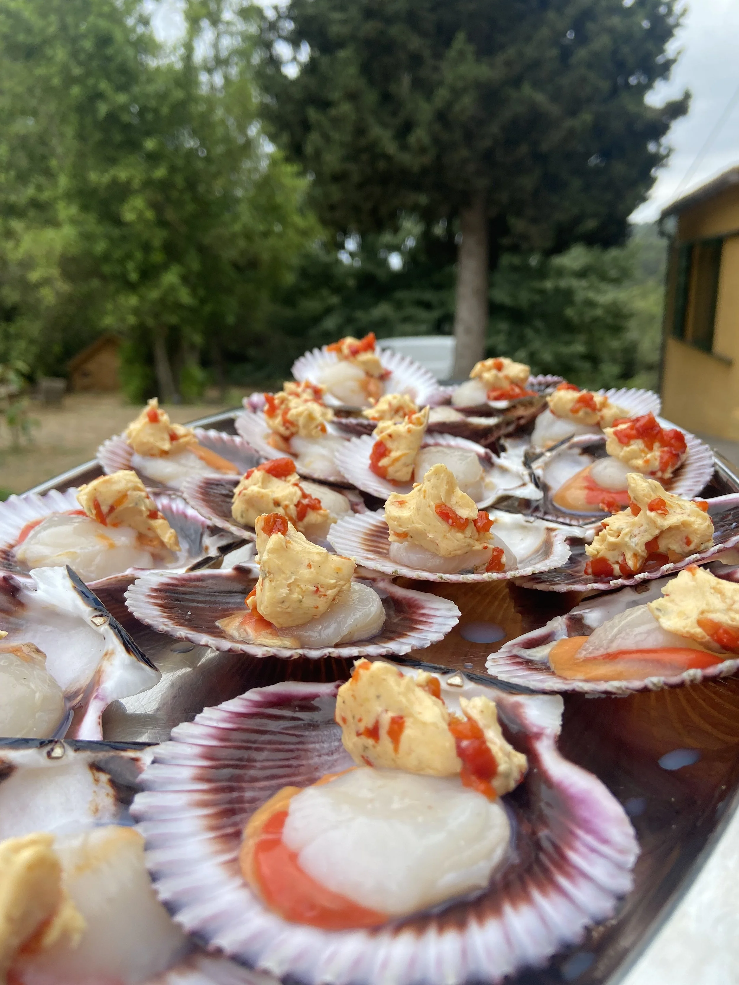 Seafood appetizer with scallops served in shells topped with scrambled eggs and red sauce, outdoors with trees and a house in the background.