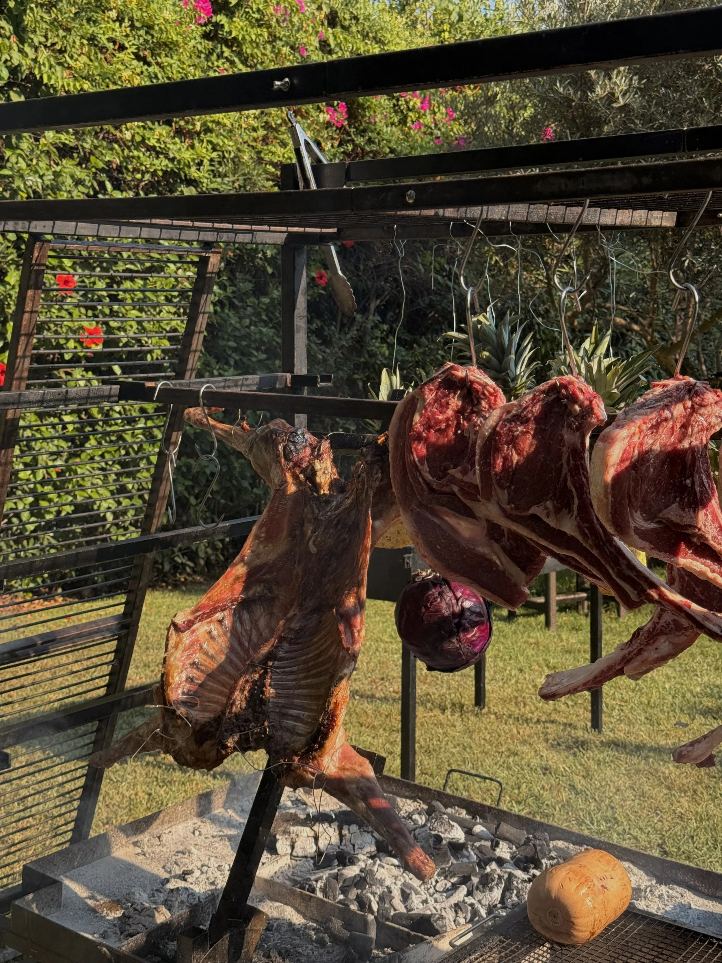 Barbecue grill with hanging raw lamb carcasses, onion, and pineapple on a sunny backyard.
