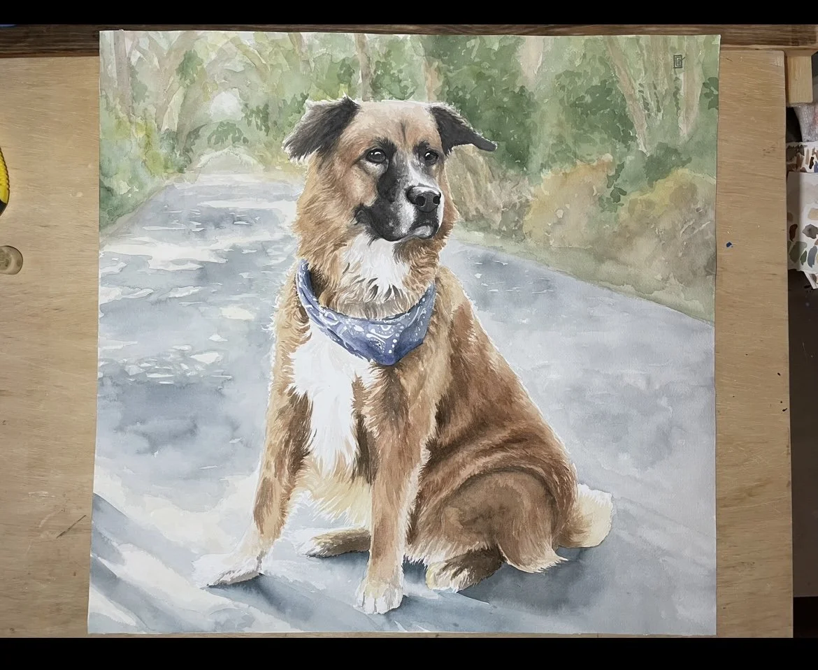 Beautiful dog portrait watercolor painted by professional Caleb Quire