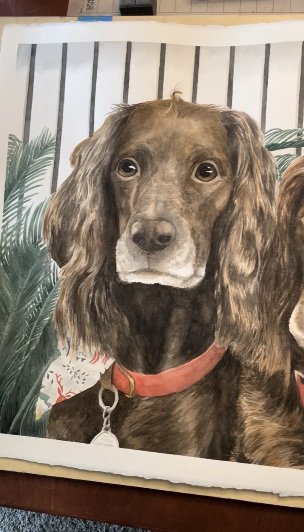 Dog Portrait 1.jpg