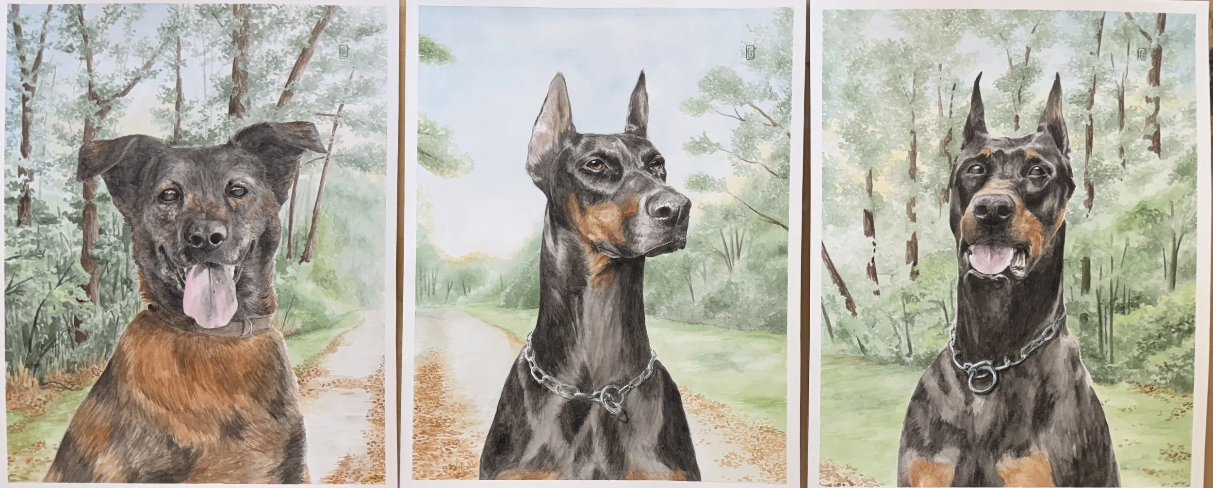 triptich dog portraits.jpg